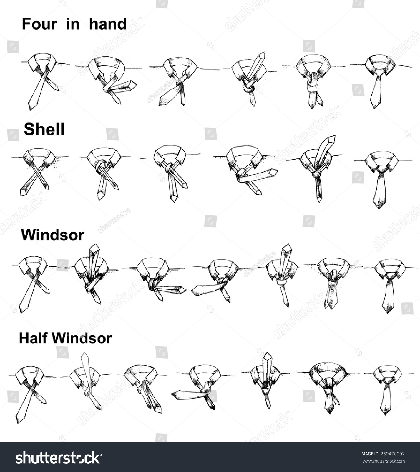 Vector Tie And Knot Instruction, Shell, Four In Hand, Windsor,Half ...