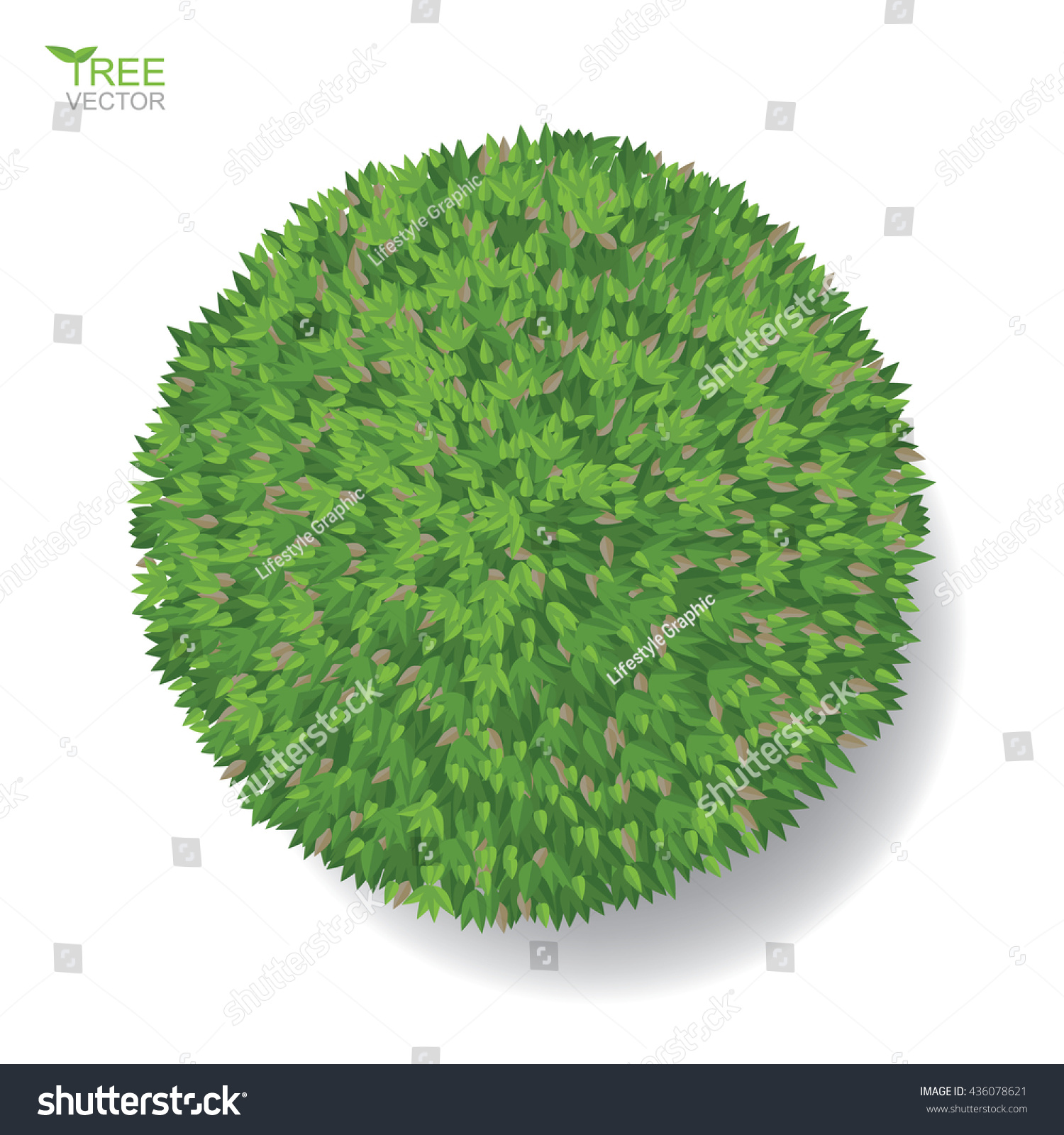 Vector Tree Plan Tree Top View Stock Vector 436078621 - Shutterstock