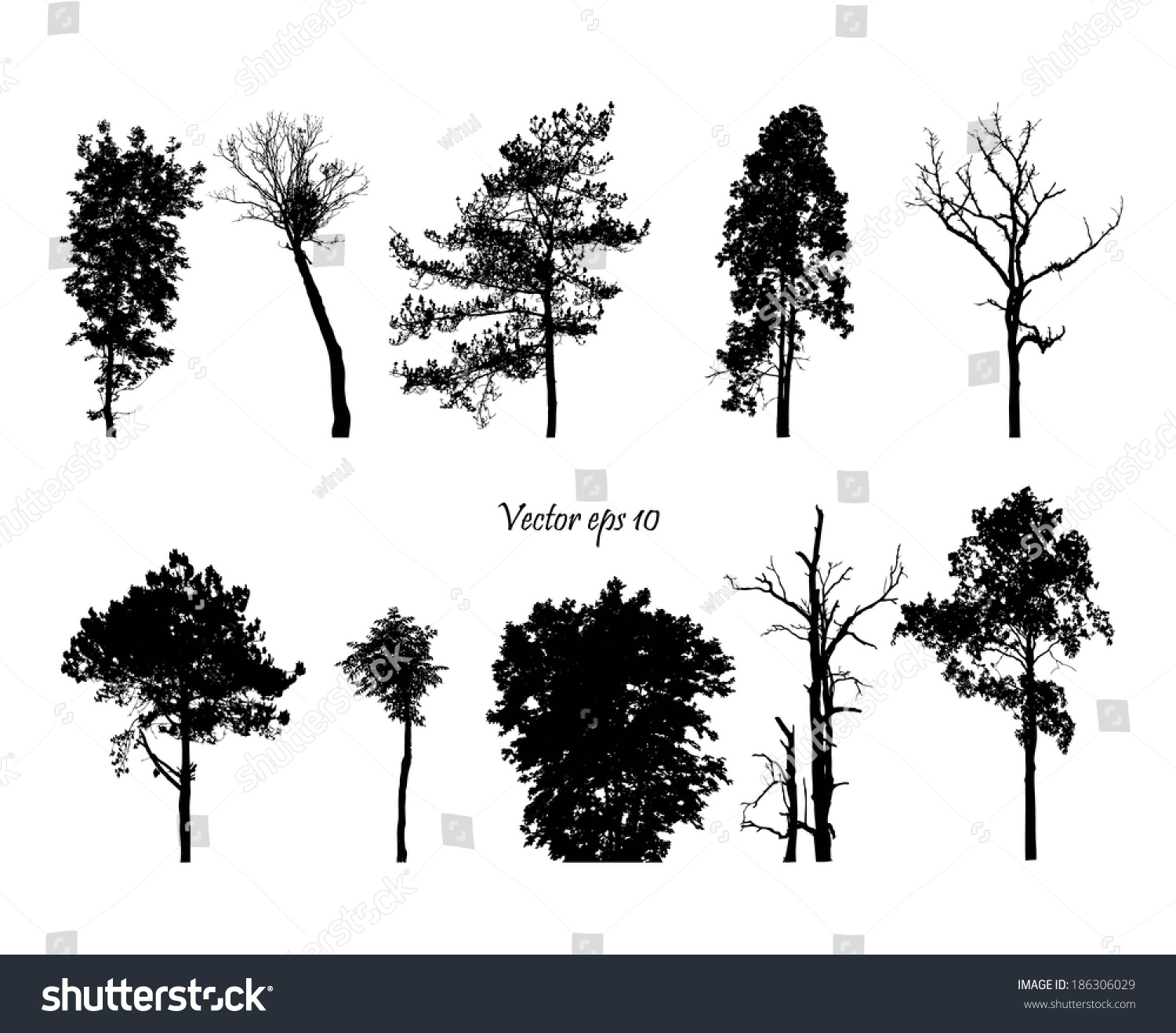 Vector Trees Stock Vector 186306029 - Shutterstock