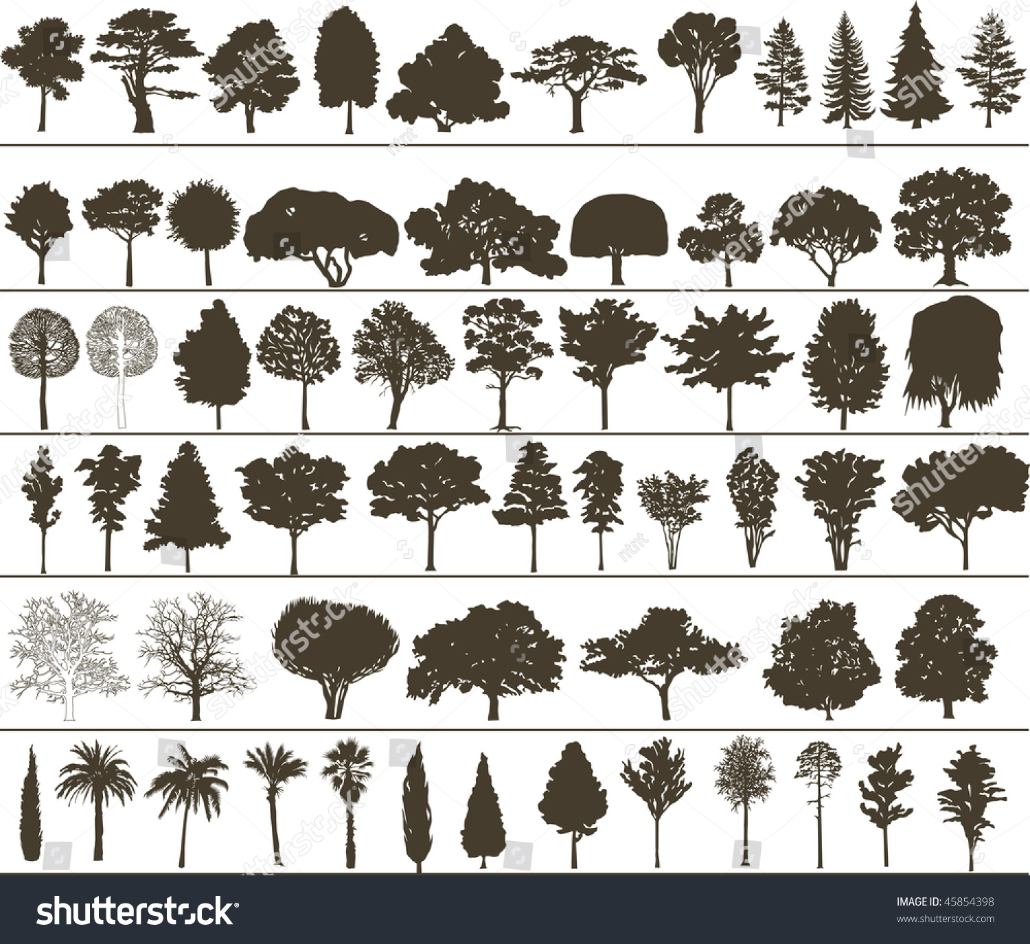 SVG of vector trees svg