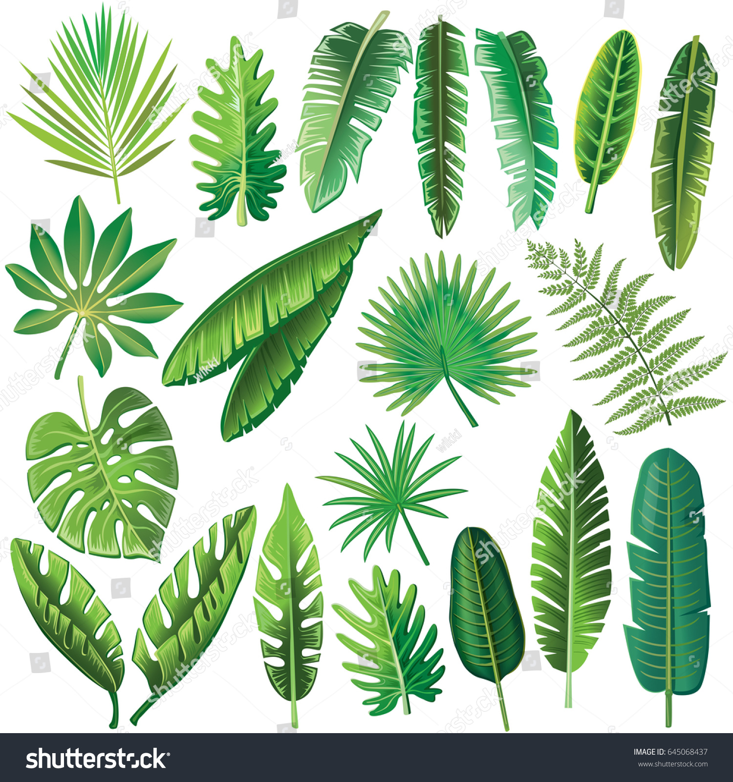 Vector Tropical Leaves Stock Vector (Royalty Free) 645068437
