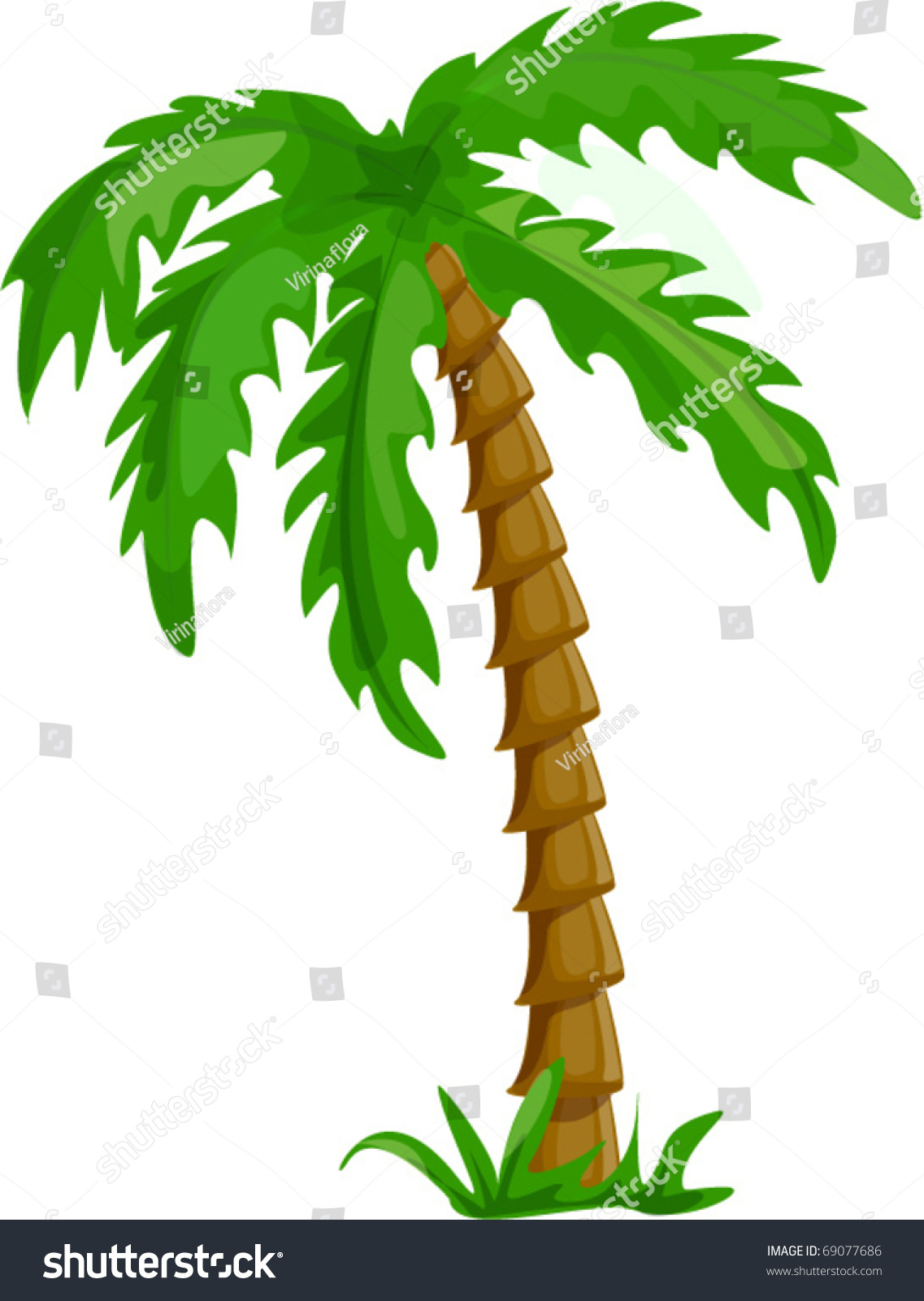 Vector Tropical Palm Trees Isolated On White Background Illustration ...