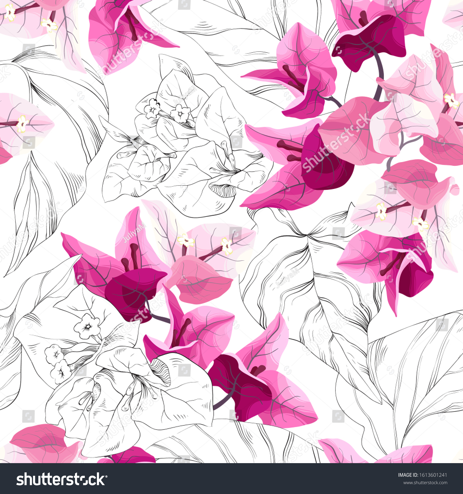 SVG of Vector tropical seamless pattern with bougainvillea. Exotic floral background design. svg