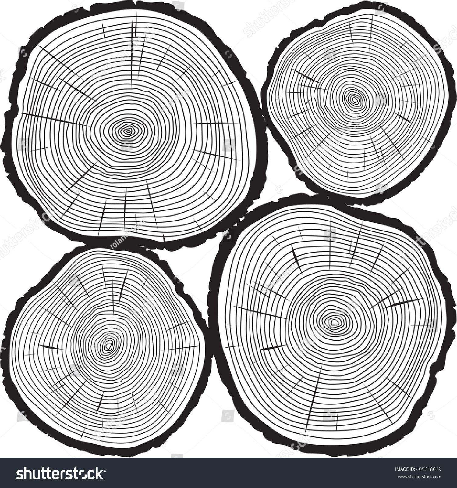 Vector Trunk Rings Tree Black Illustration Stock Vector (Royalty Free ...