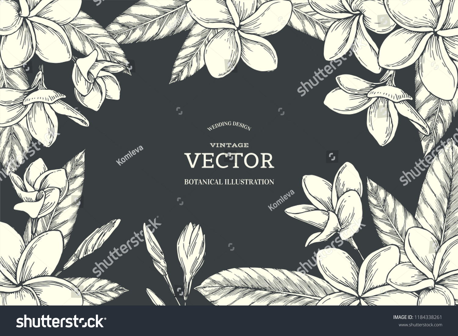 Drawing plumeria Images, Stock Photos & Vectors | Shutterstock