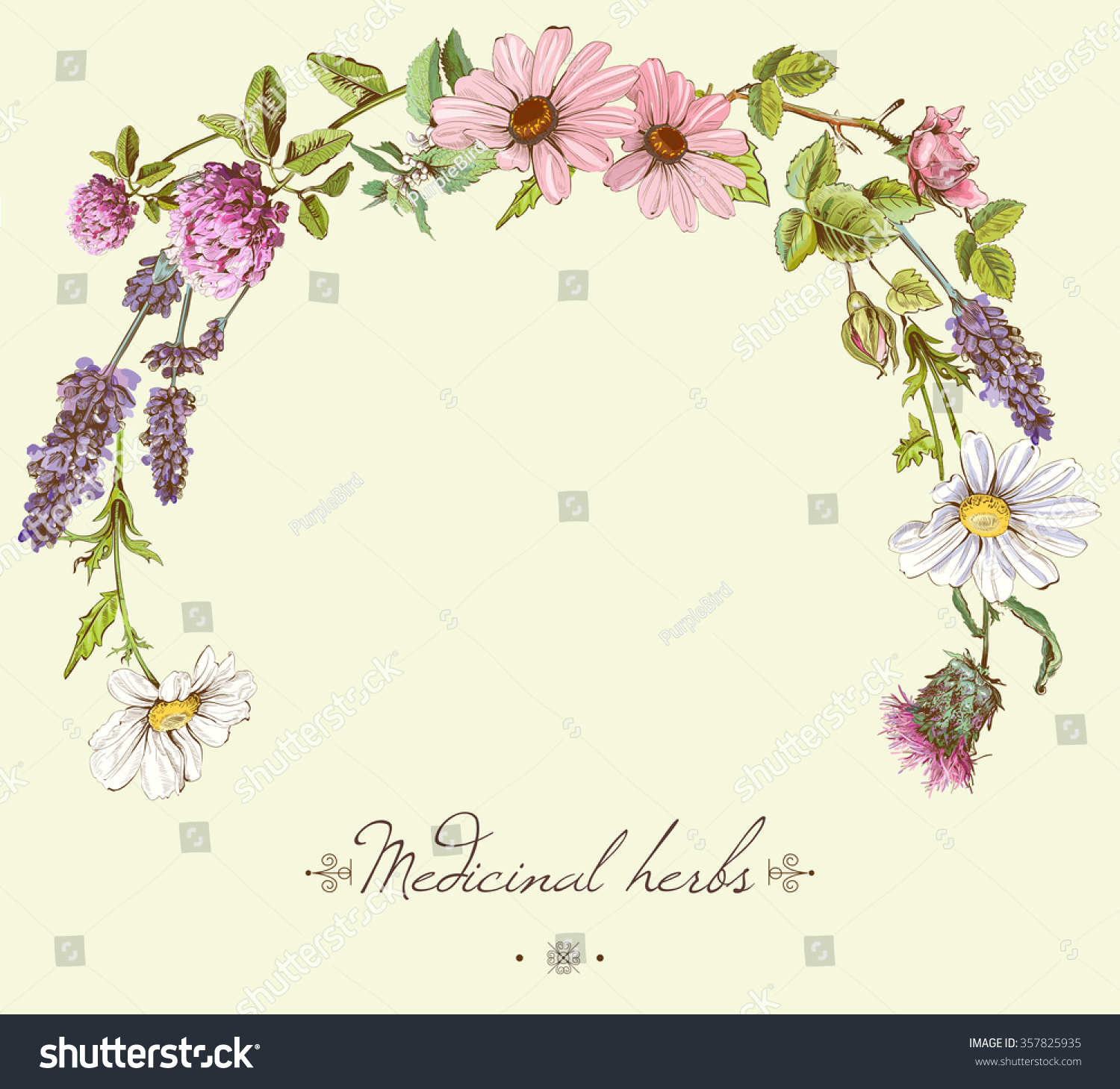 Woman With Flower Layout 28