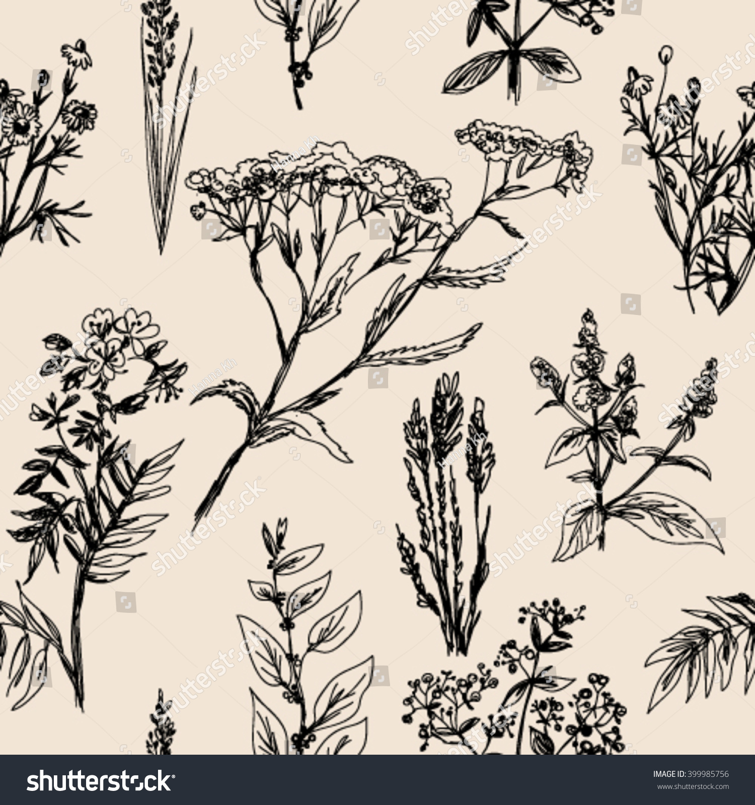 Vector Vintage Seamless Floral Pattern. Herbs And Wild Flowers ...