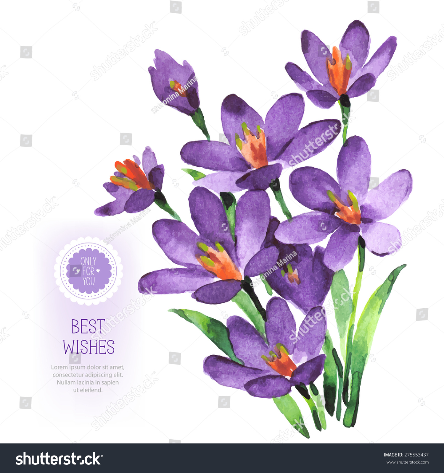 Vector Watercolor Purple Flowers On White Stock Vector Royalty Free