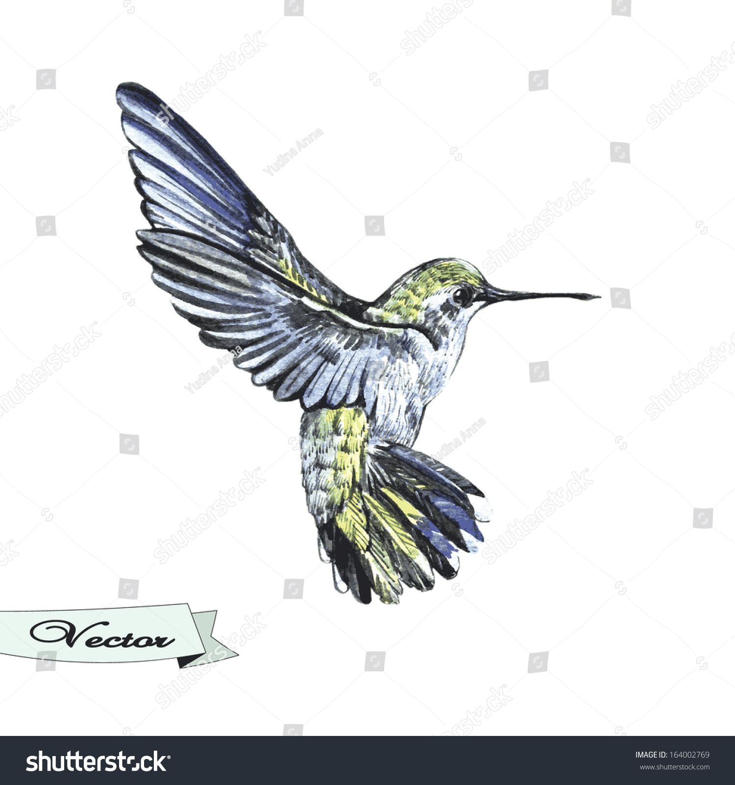 Download Vector Watercolor Sketch Hummingbird Vector Illustration ...