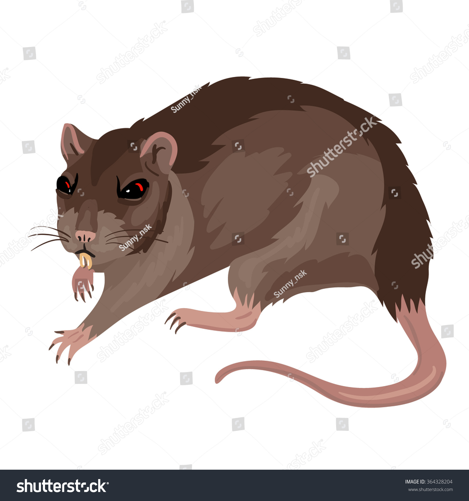 Vector Wild Brown Rat - 364328204 : Shutterstock