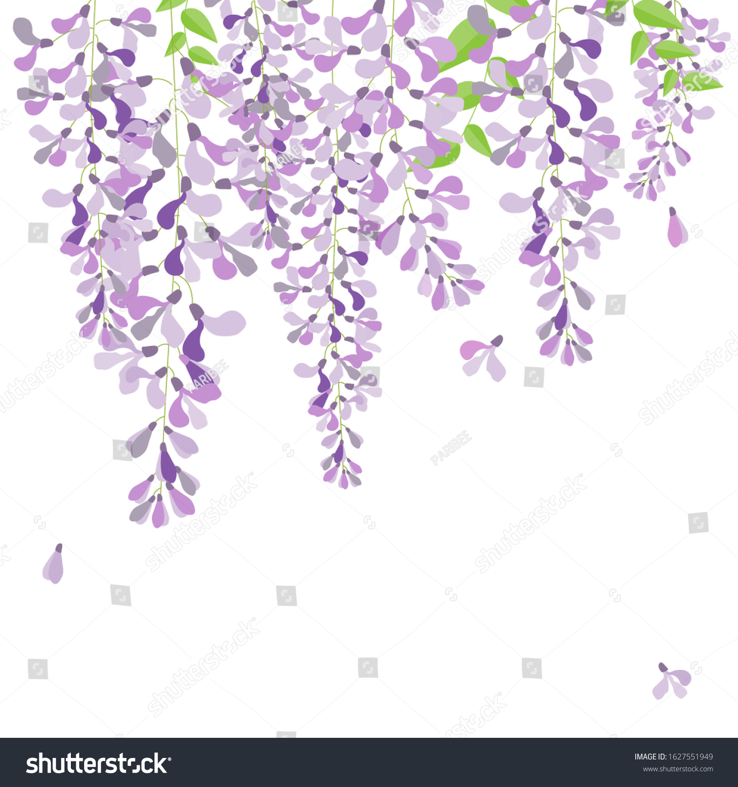 SVG of vector wisteria,purple flower in garden,wedding,card,fuji flower svg