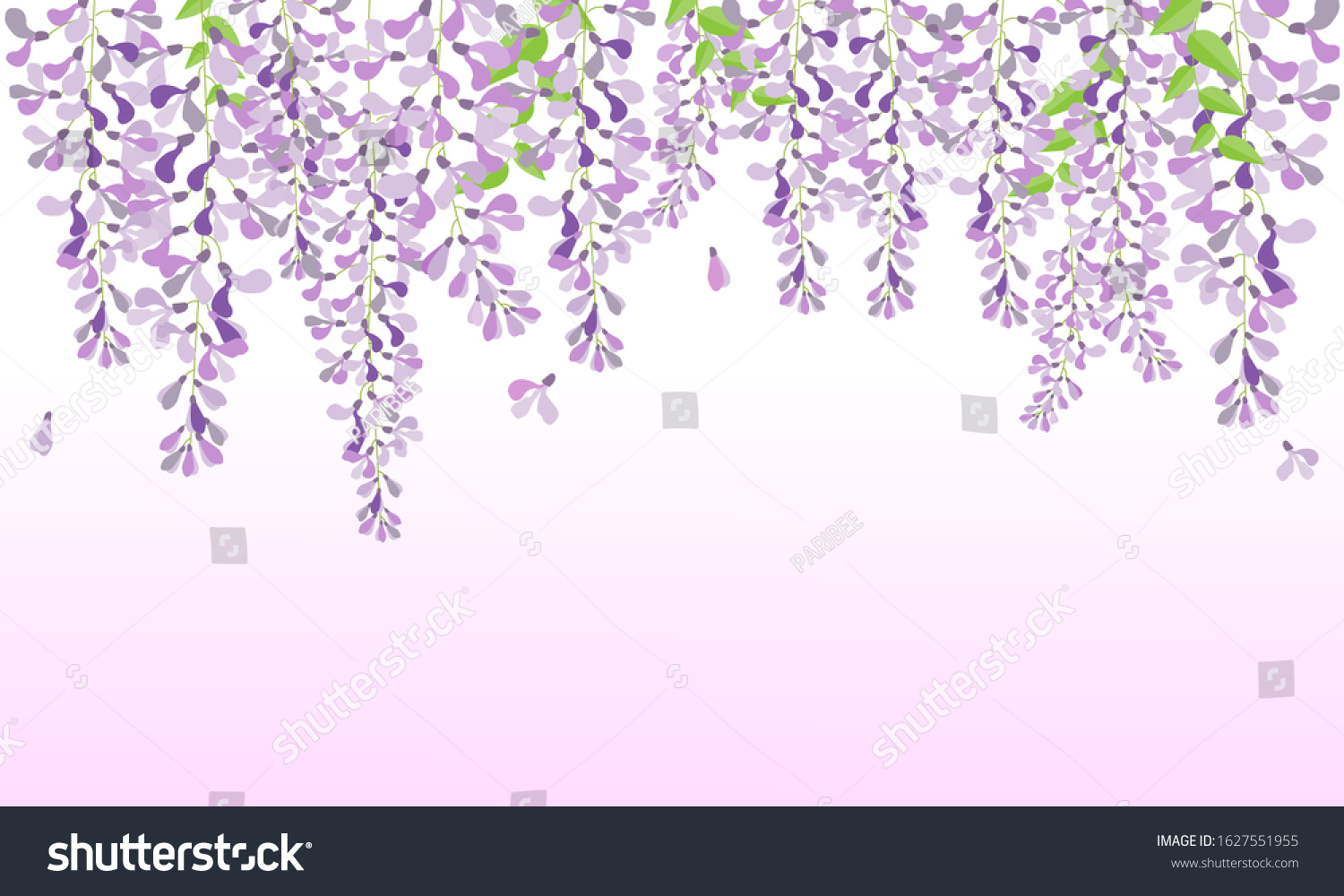 SVG of vector wisteria, purple flower in garden, wedding card, fuji flower svg