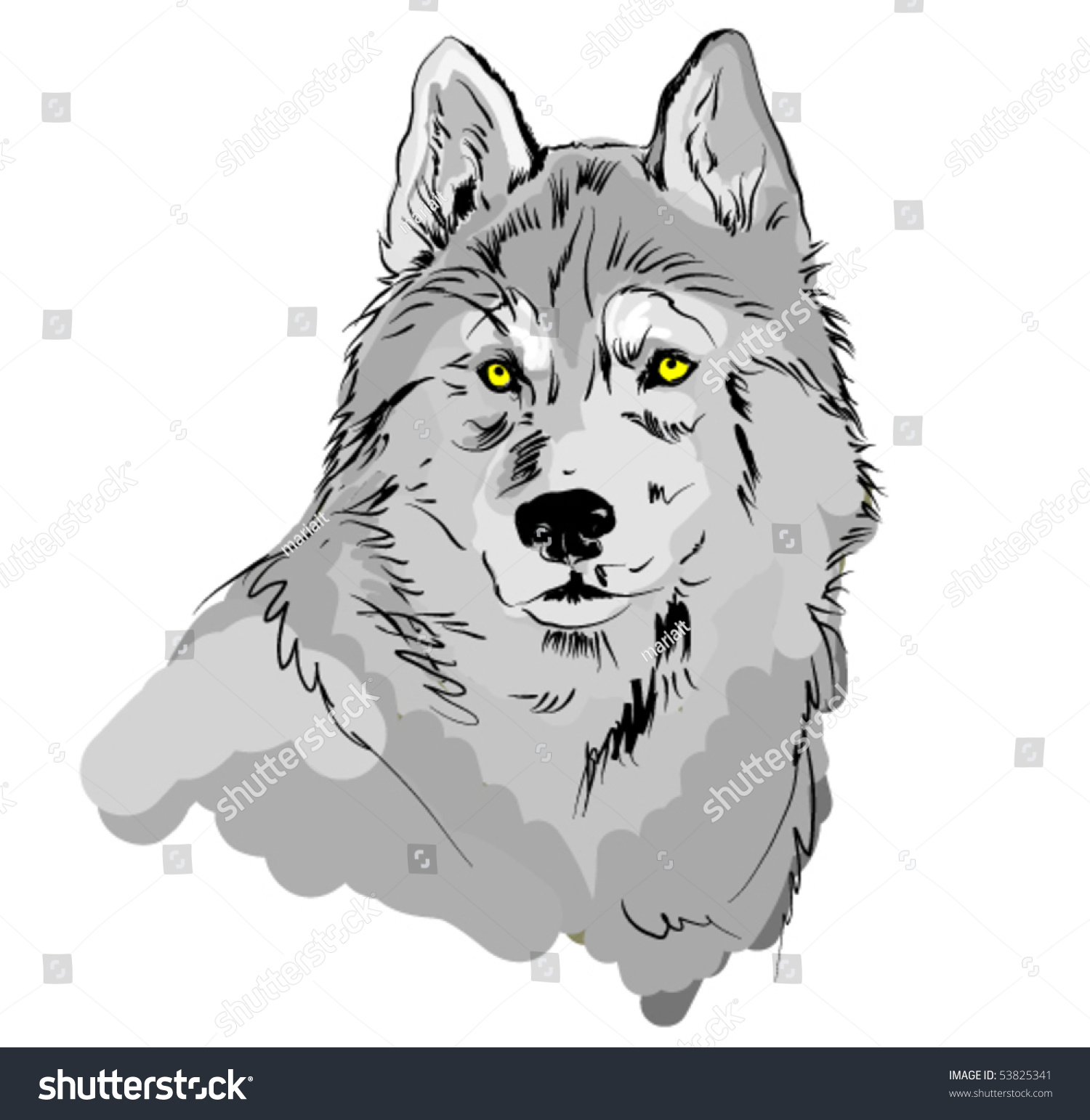 Vector Wolf Illustration - 53825341 : Shutterstock