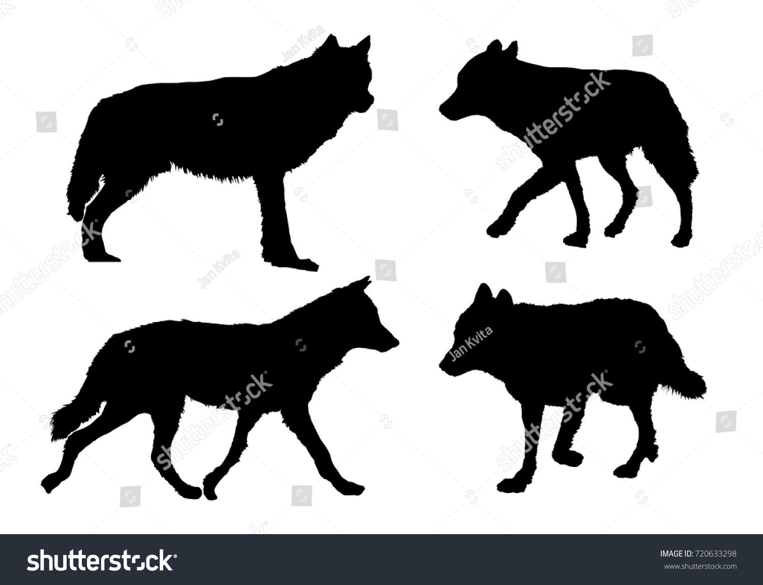 Vector Wolves Collection Different Positions On Stock Vector (Royalty ...