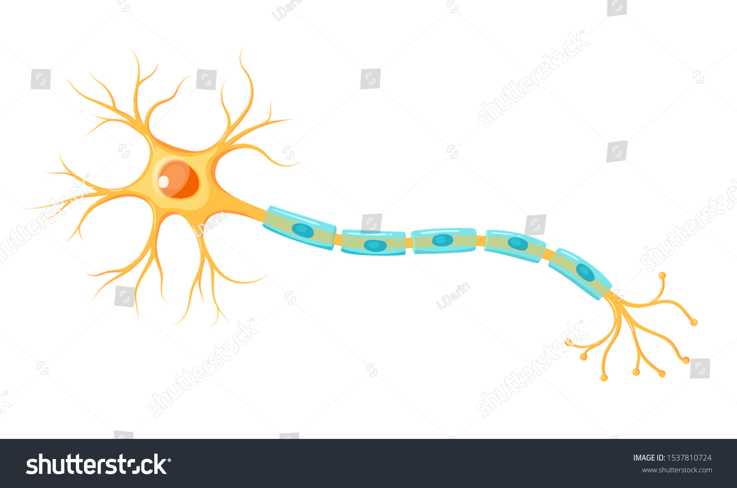 SVG of Vector yellow neuron isolated on white background. Educational illustration svg