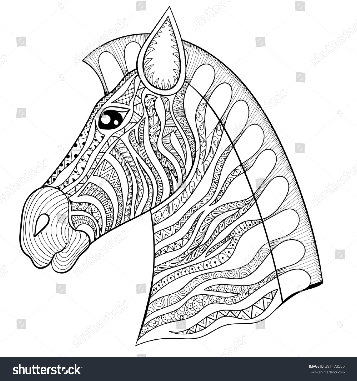 Vector Zentangle Zebra Head Illustration Horse Stock Vector 391173550  Shutterstock