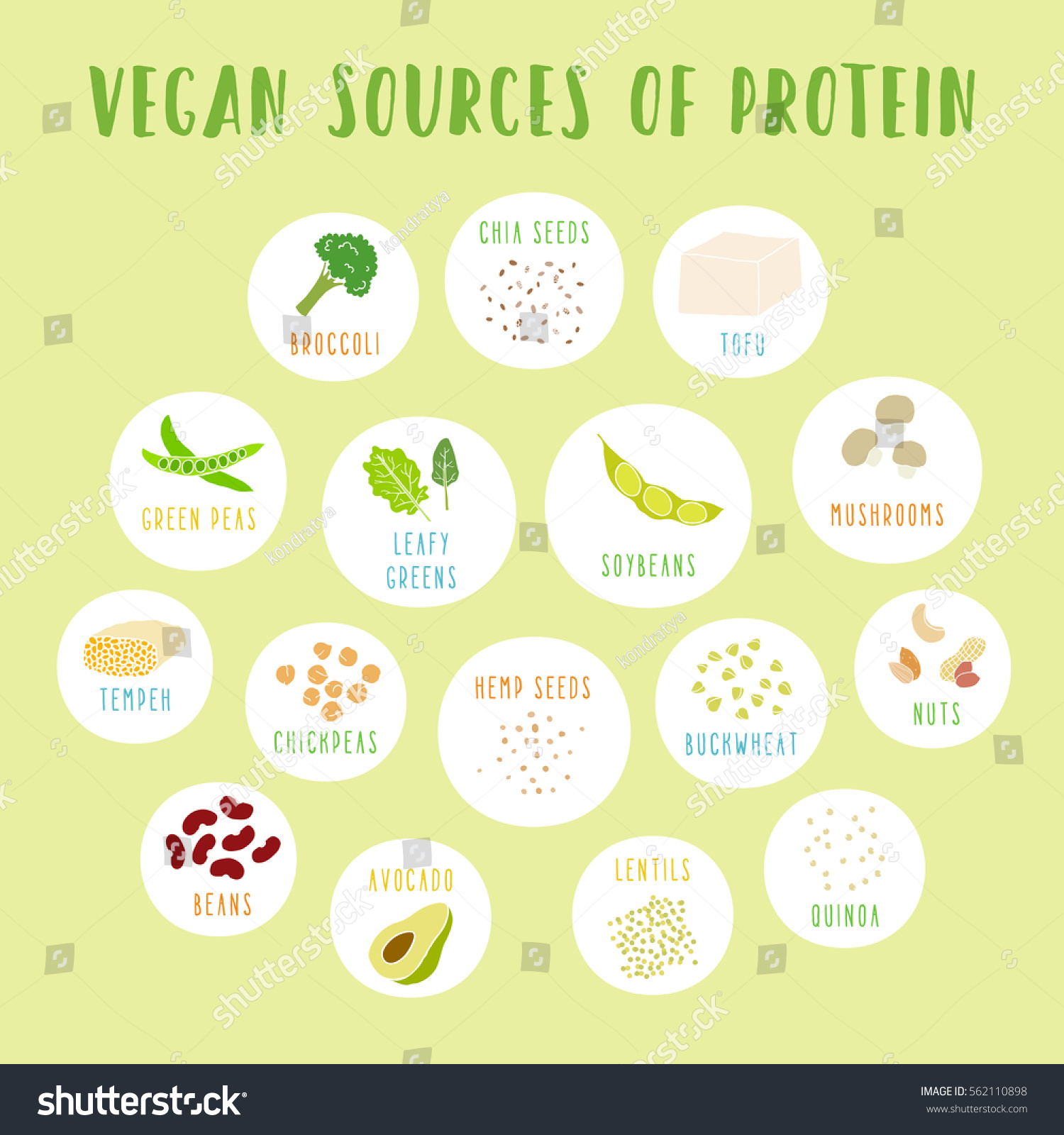 Vegan Sources Protein Vector Info Poster Stock Vector Royalty Free 562110898 8374