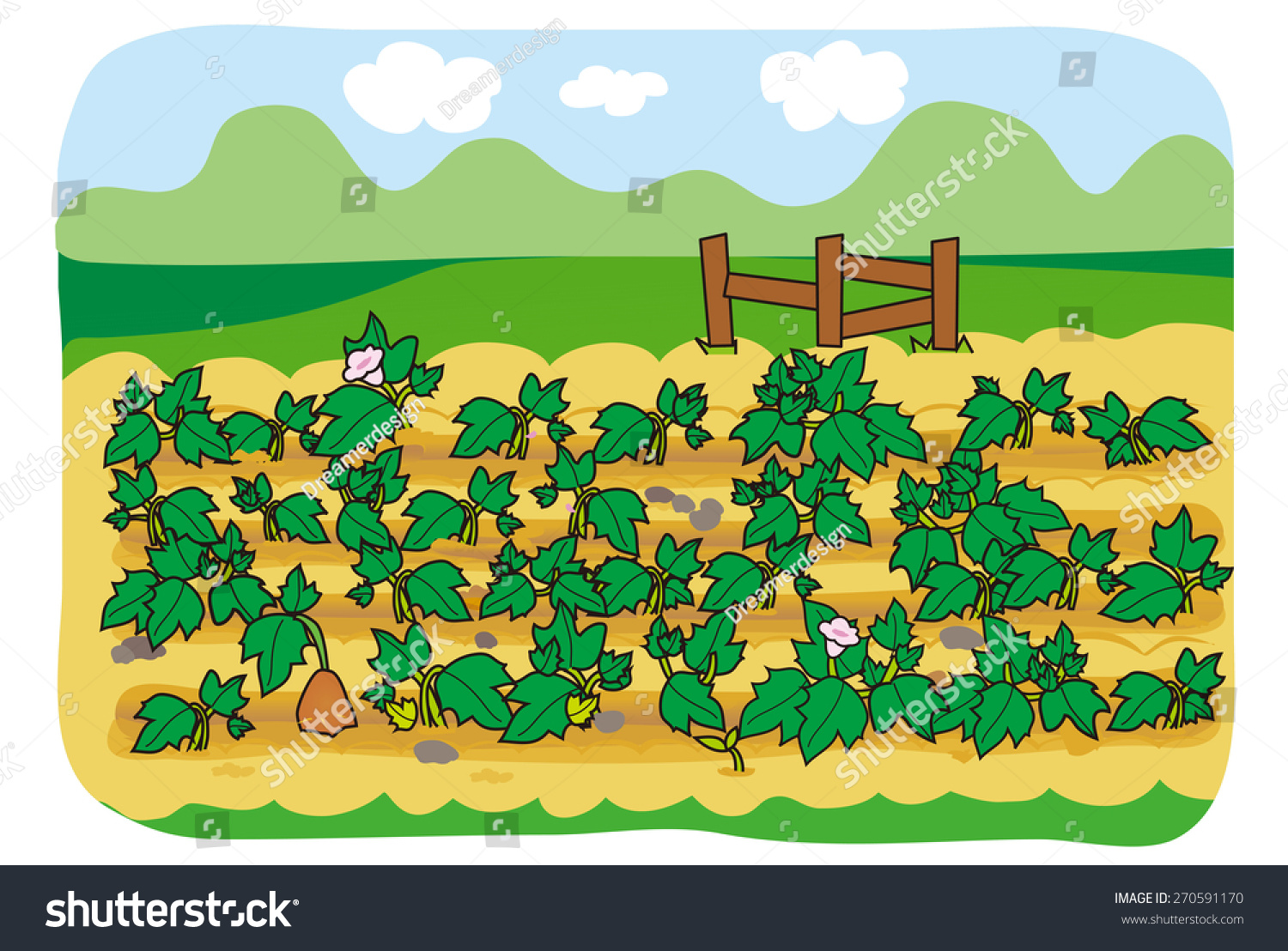 Vegetable Garden Background Sweet Potato Background Stock Vector 270591170  Shutterstock