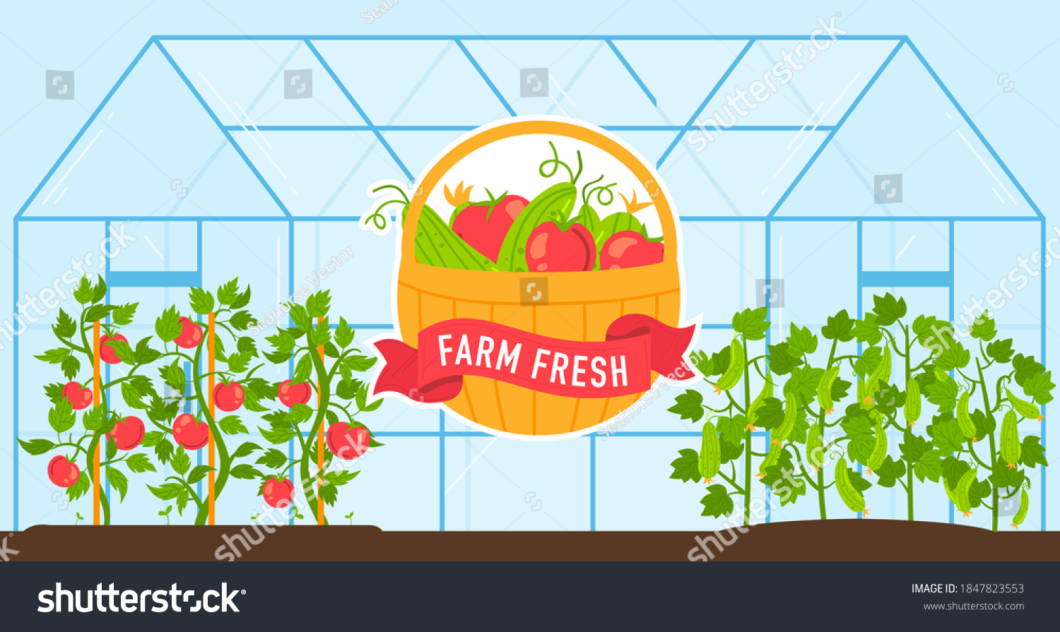 SVG of Vegetables grow in farm greenhouse vector illustration. Cartoon flat fresh harvest of ripe red tomatoes and green cucumbers growing in glasshouse, cultivation of vegetarian farmers products background svg
