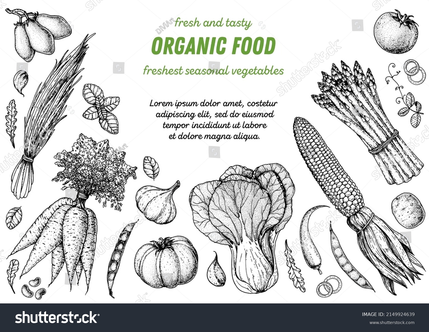 Vegetables Hand Drawn Illustration Top View Stock Vector (Royalty Free ...