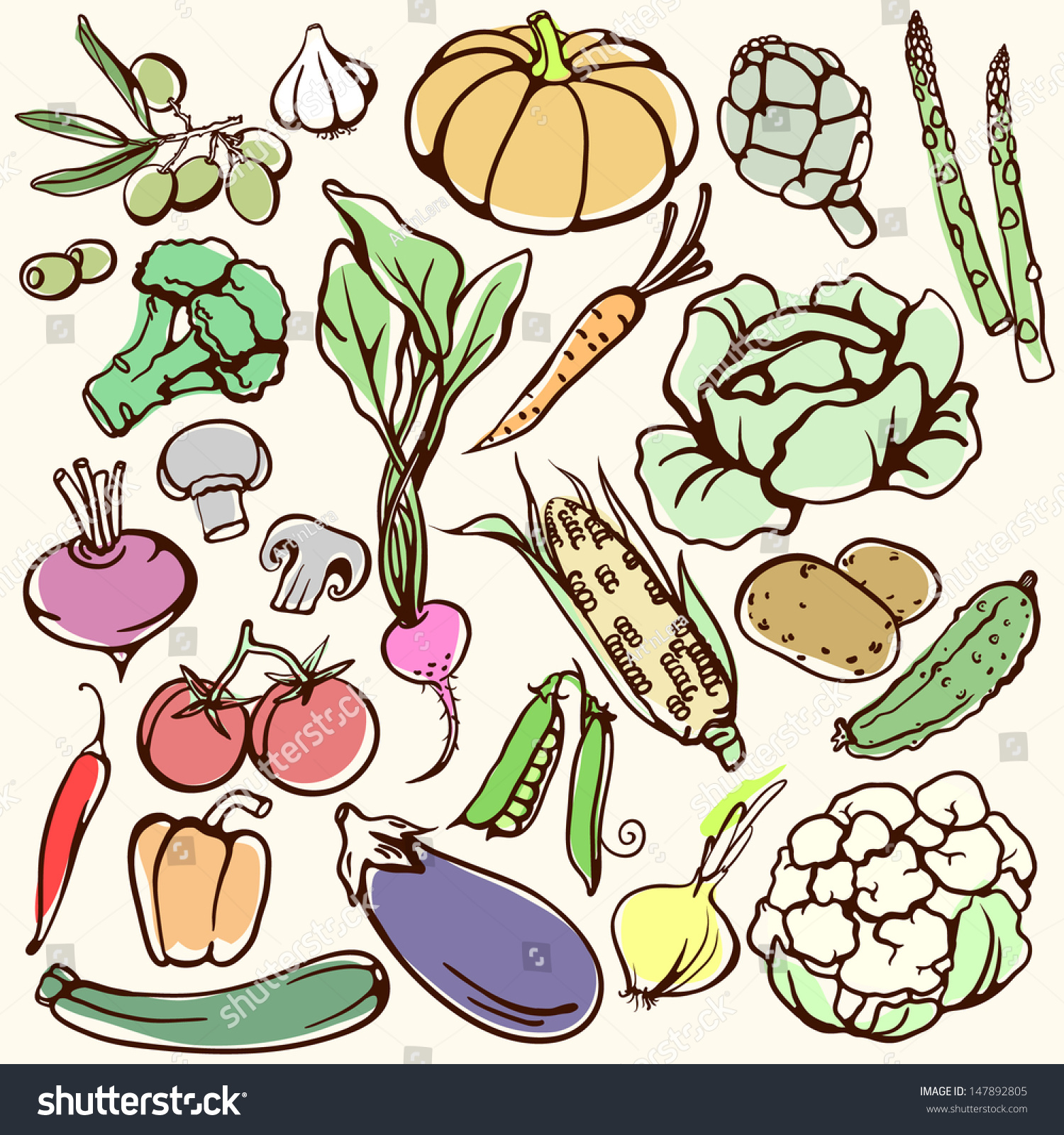 Vegetables Illustration - 147892805 : Shutterstock