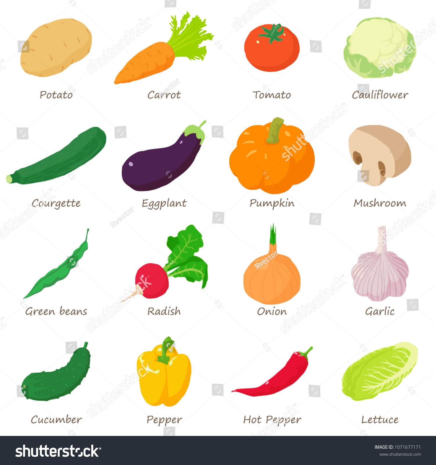 Vegetables Signed Names Icons Set Isometric Stock Vector (Royalty Free ...