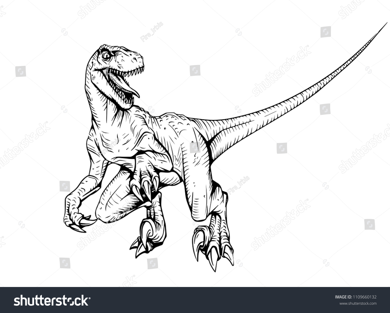 Velociraptor Dinosaure Livre De Coloriage Pour Image Vectorielle De Stock Libre De Droits