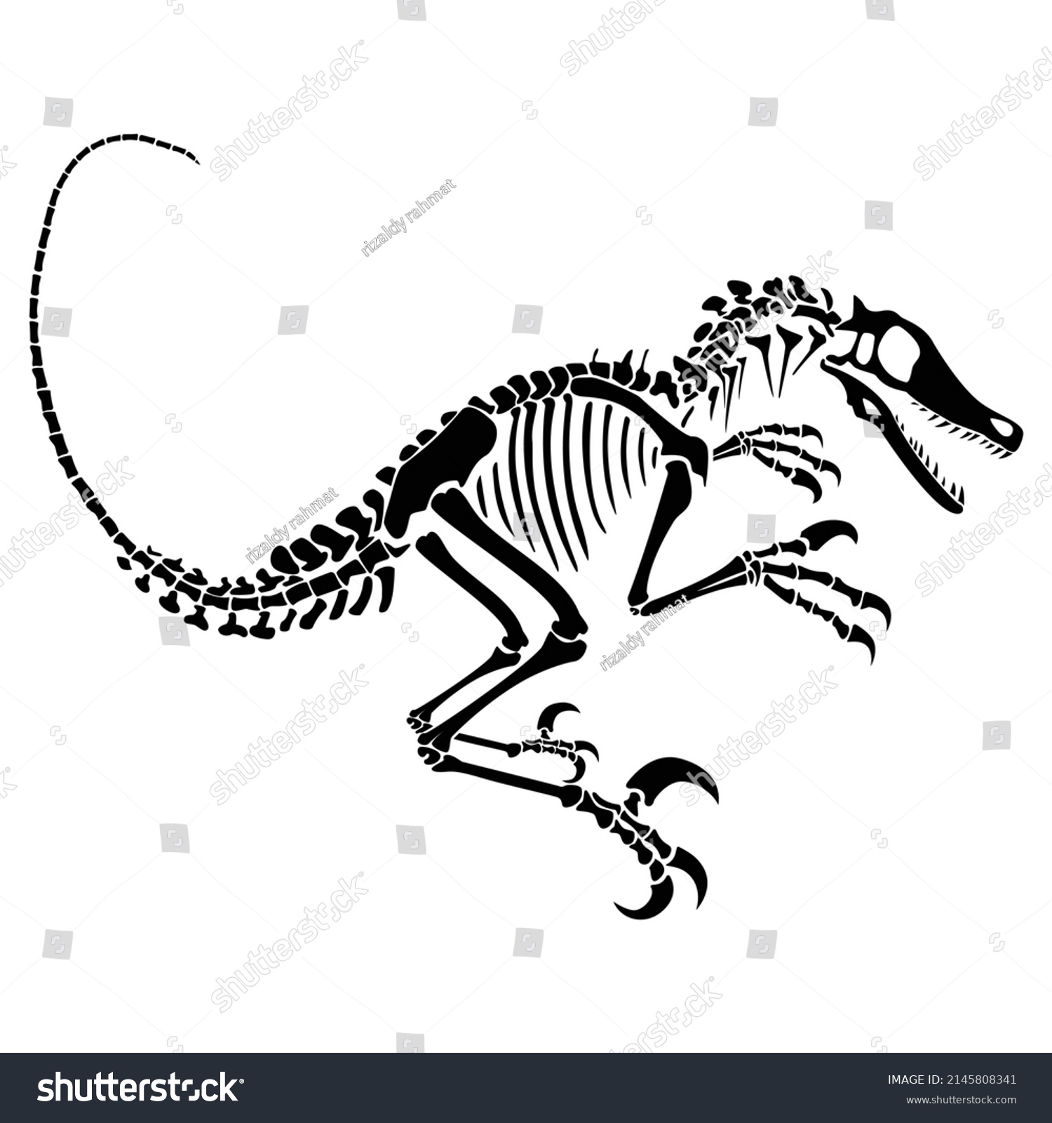 Velociraptor Skeleton Animal Reptile Bones Silhouette Stock Vector ...