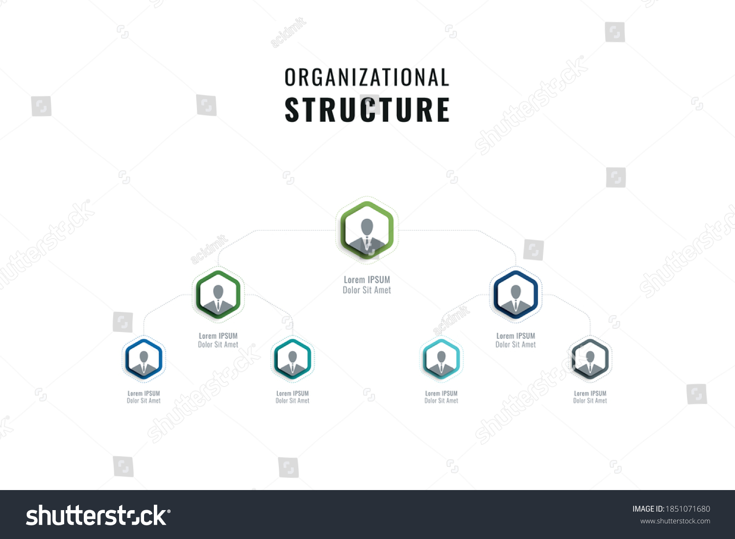 Vertical Organizational Structure Company Template Multicolor Stock