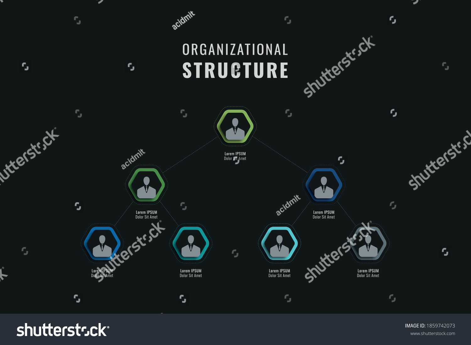 Vertical Organizational Structure Company Template Multicolor Stock