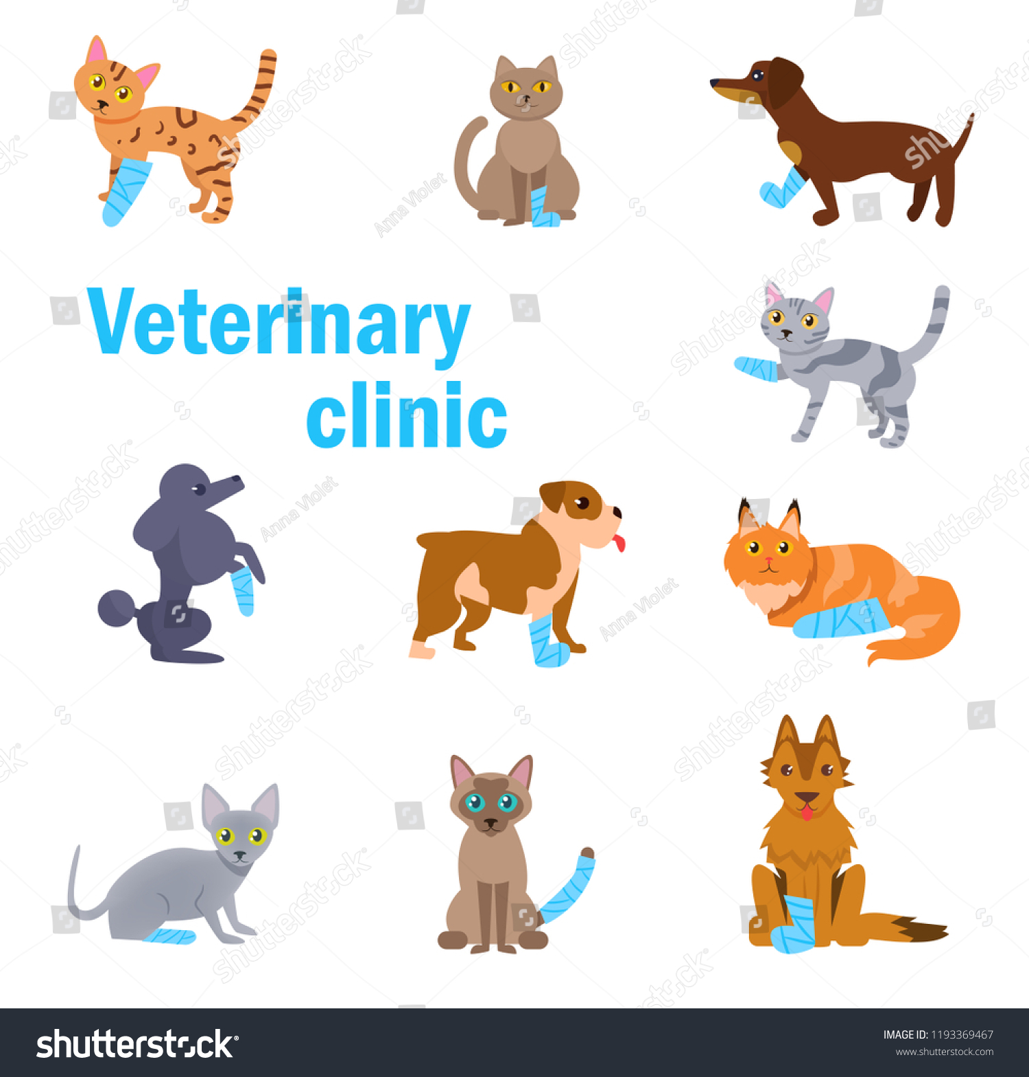 SVG of Veterinary clinic. Animals with bandaged paws Vector. Cartoon. Isolated art on white background. Flat svg