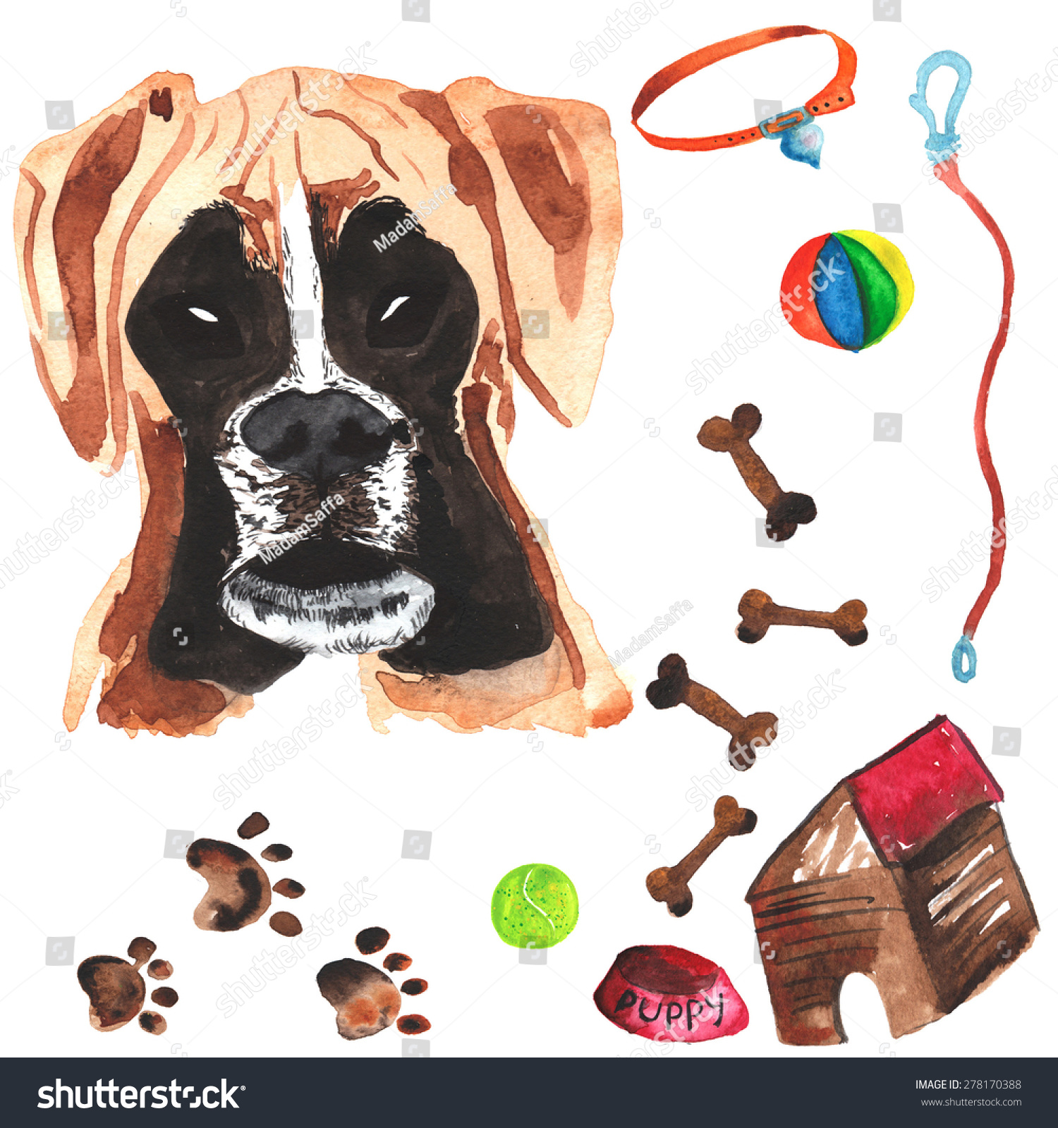 boxer dog accessories
