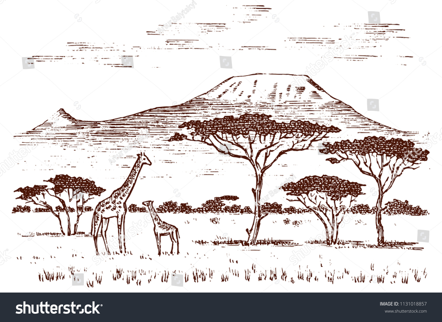 safari landscape drawing