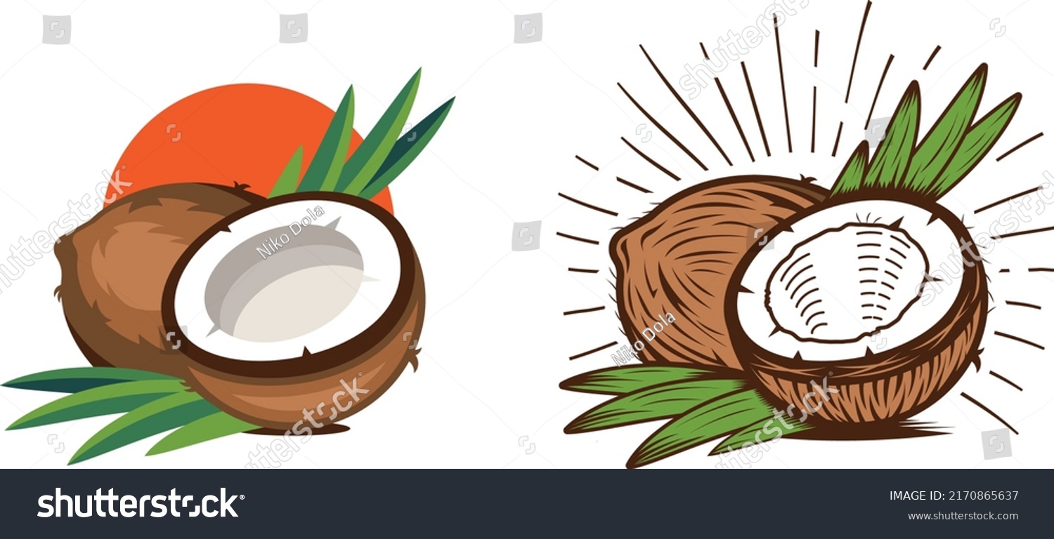 SVG of Vintage and Modern style Coconut. 
Half and full coconut fruit with sun rays. Hand drawing cocos svg