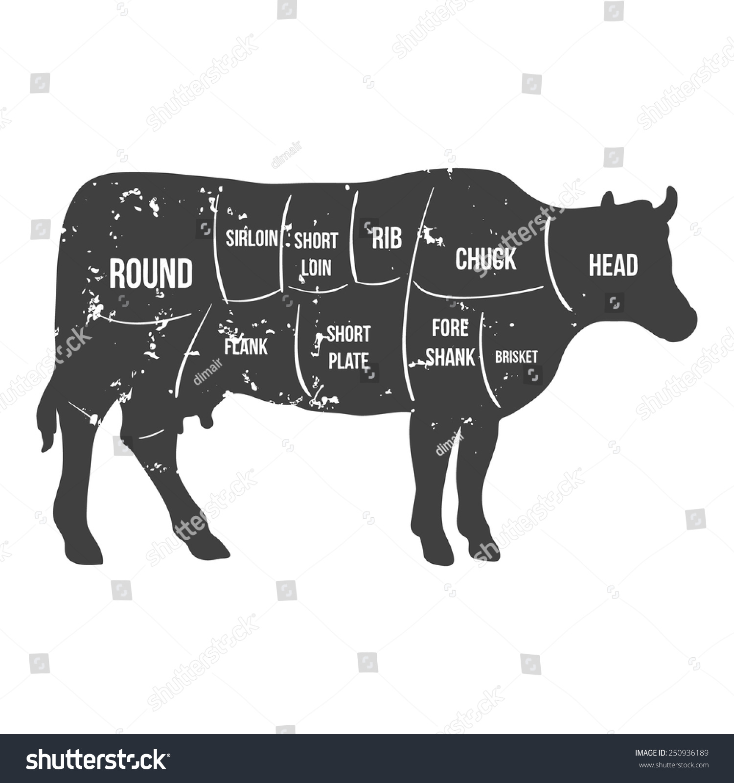 Vintage Butcher Cuts Of Beef Diagram Vector Illustration - 250936189 ...