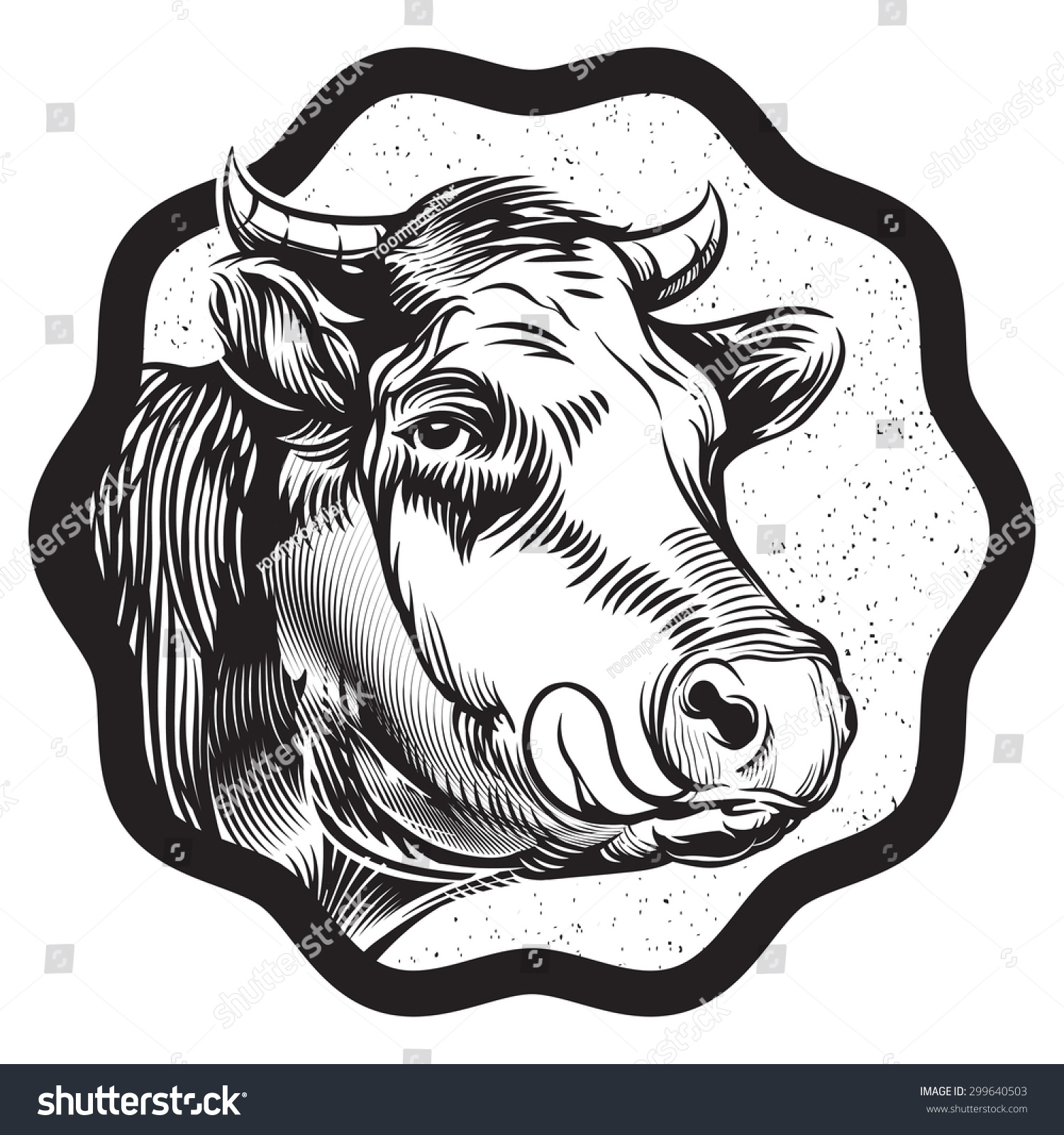 Vintage Cow'S Muzzle Illustration. Suitable For Technical And ...