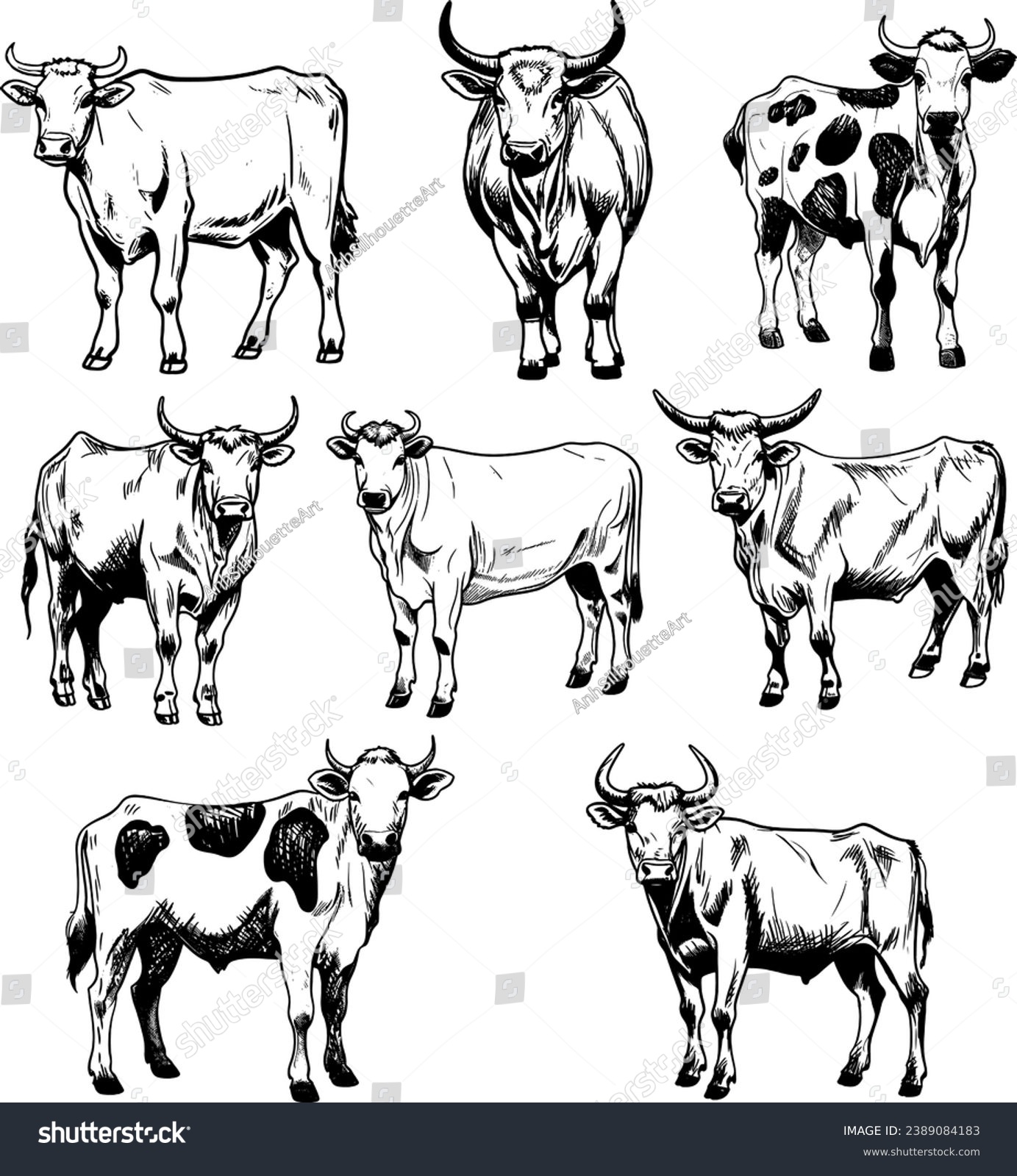 SVG of Vintage Cows, Hand Drawn Cows, Western Cows, Laser Cut Flies, Longhorn Cow, Laser Cut File, Silhouette svg