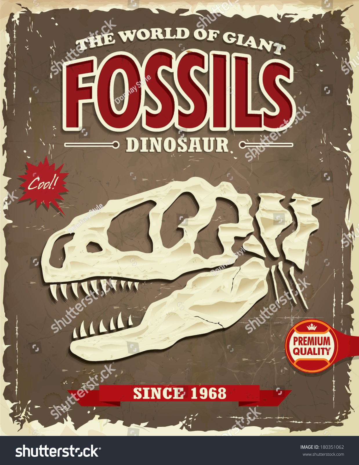 about dinosaur fossils