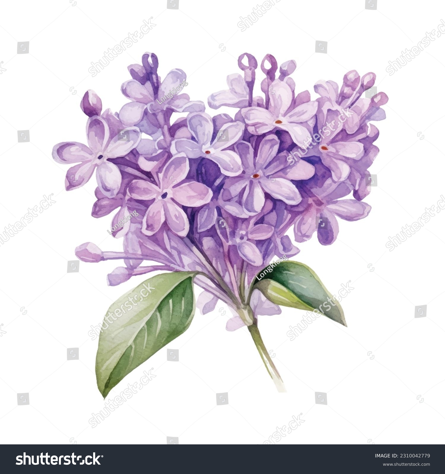 SVG of Vintage drawn illustration of Lilac free download shutterstock perfect for fabrics, t-shirts, mugs, decals, pillows, logo, pattern and much more svg