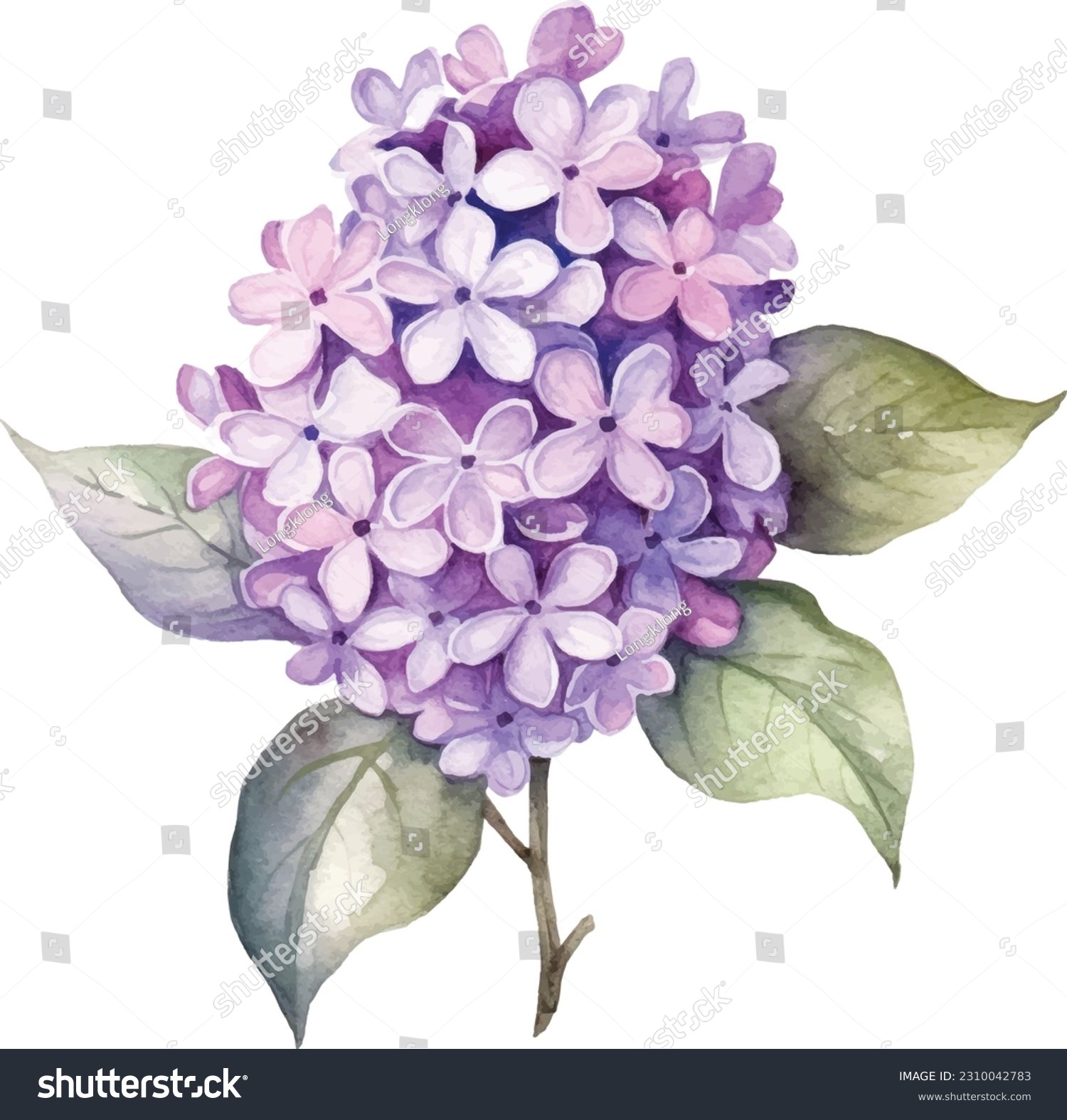 SVG of Vintage drawn illustration of Lilac free download shutterstock perfect for fabrics, t-shirts, mugs, decals, pillows, logo, pattern and much more svg