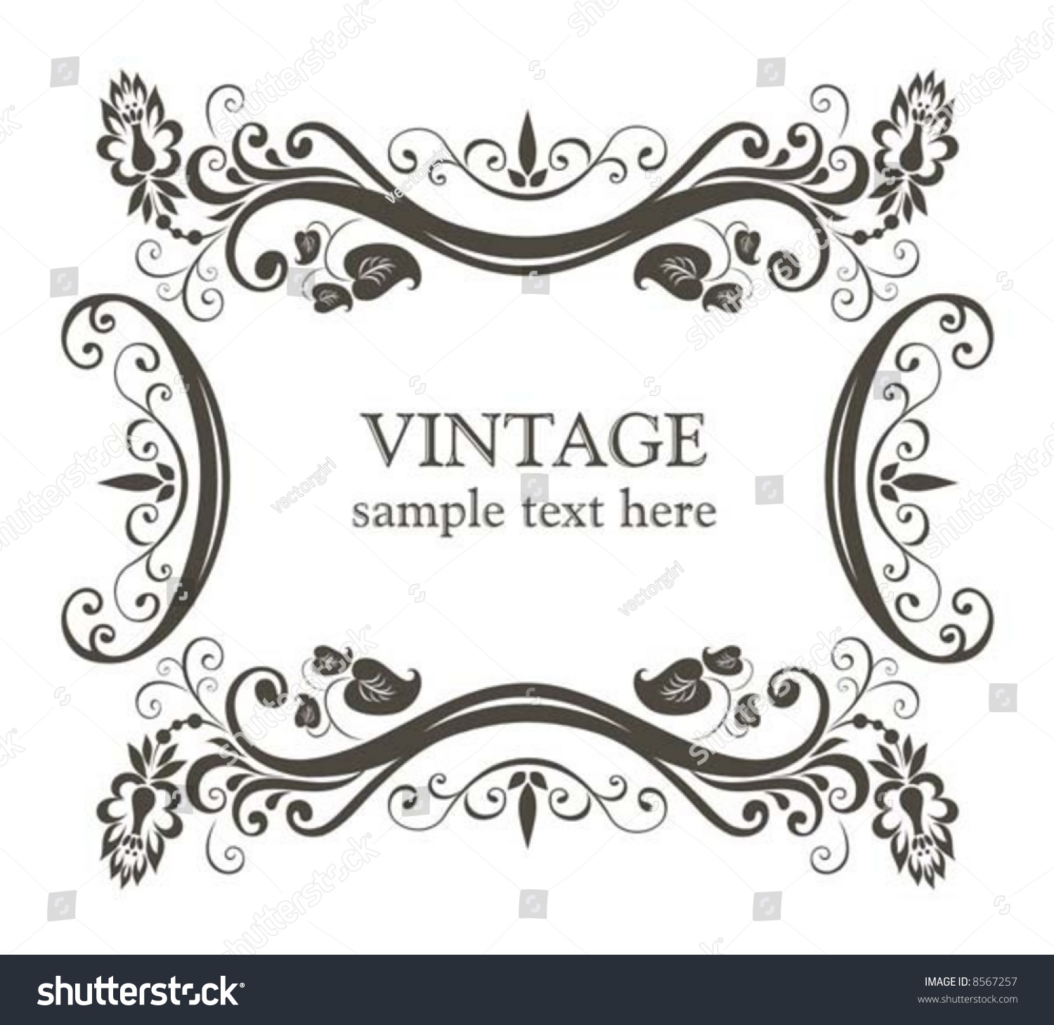 Vintage Frame. Stock Vector Illustration 8567257 : Shutterstock