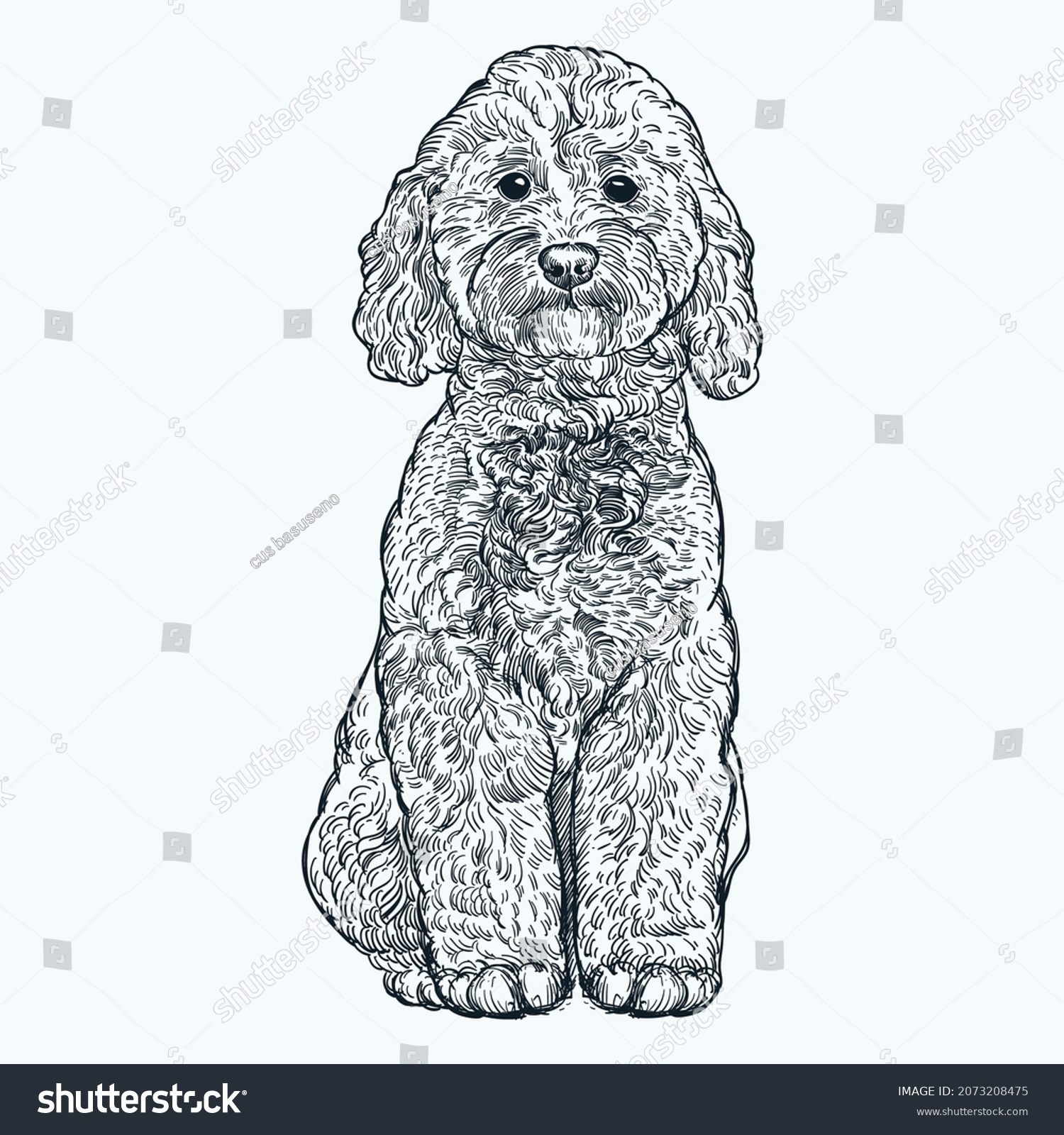 SVG of Vintage hand drawn labradoodle puppy svg