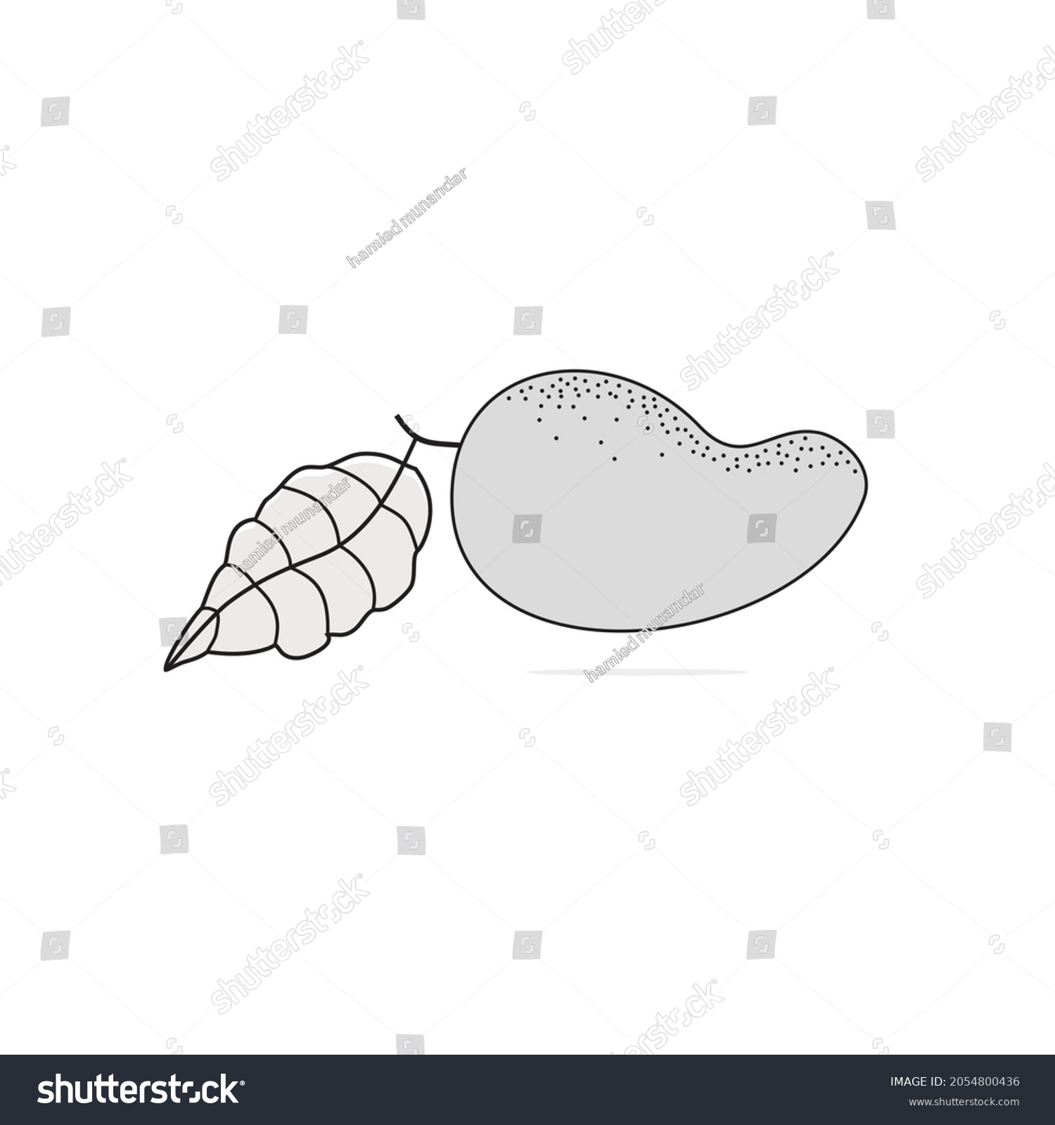 Vintage Retro Mango Fruit Pencil Drawing Stock Vector (Royalty Free