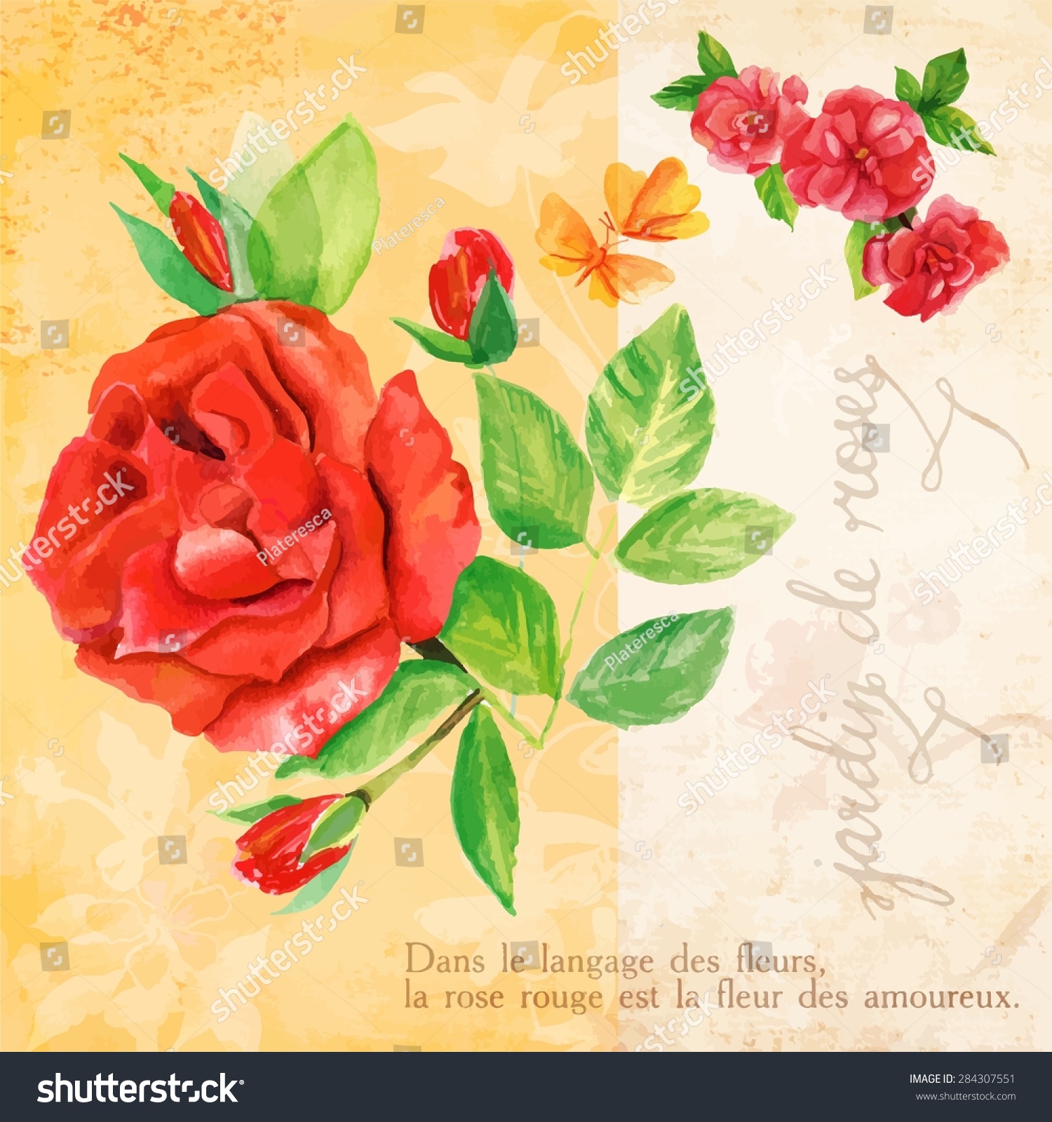 Vintage Style Collage Roses Butterflies French Stock Vector