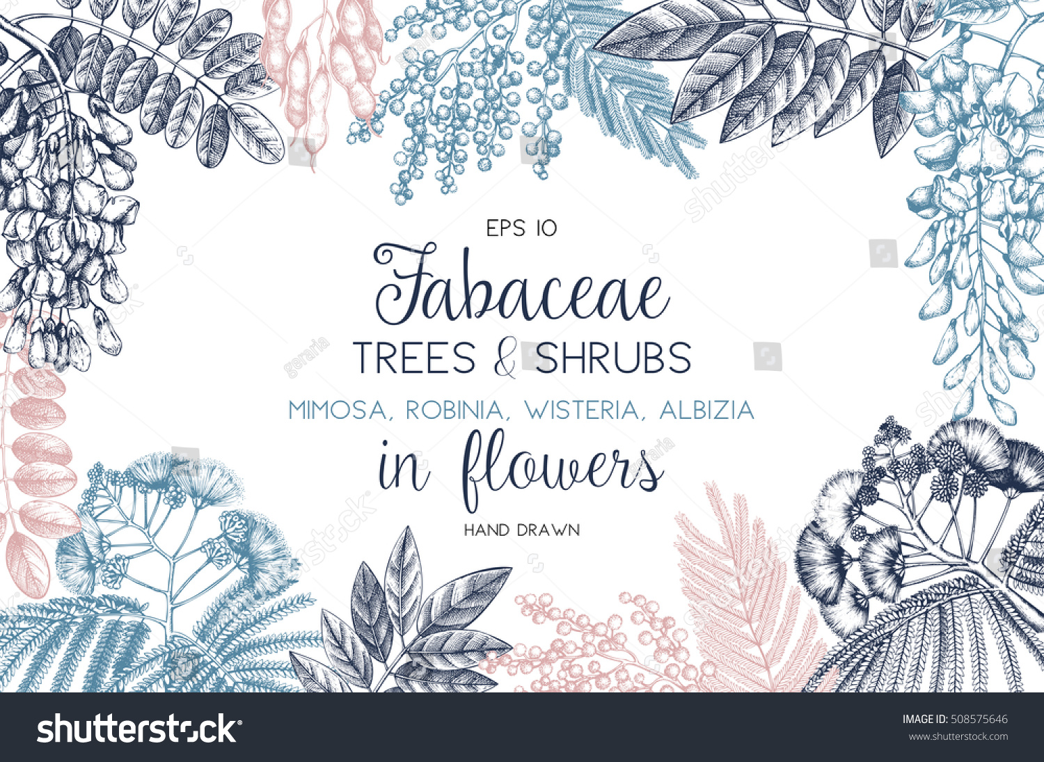 SVG of Vintage trees and shrubs in flowers illustration. Valentine's Day or Wedding design template on chalkboard. Vector greeting card with hand drawn wisteria, black locust, silver wattle, albizia sketch.  svg