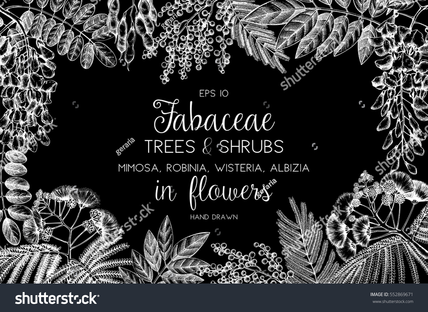 SVG of Vintage trees and shrubs in flowers illustration. Valentine's Day or Wedding design template on black background. Vector greeting card with hand drawn wisteria, robinia, silver wattle, albizia sketch. svg