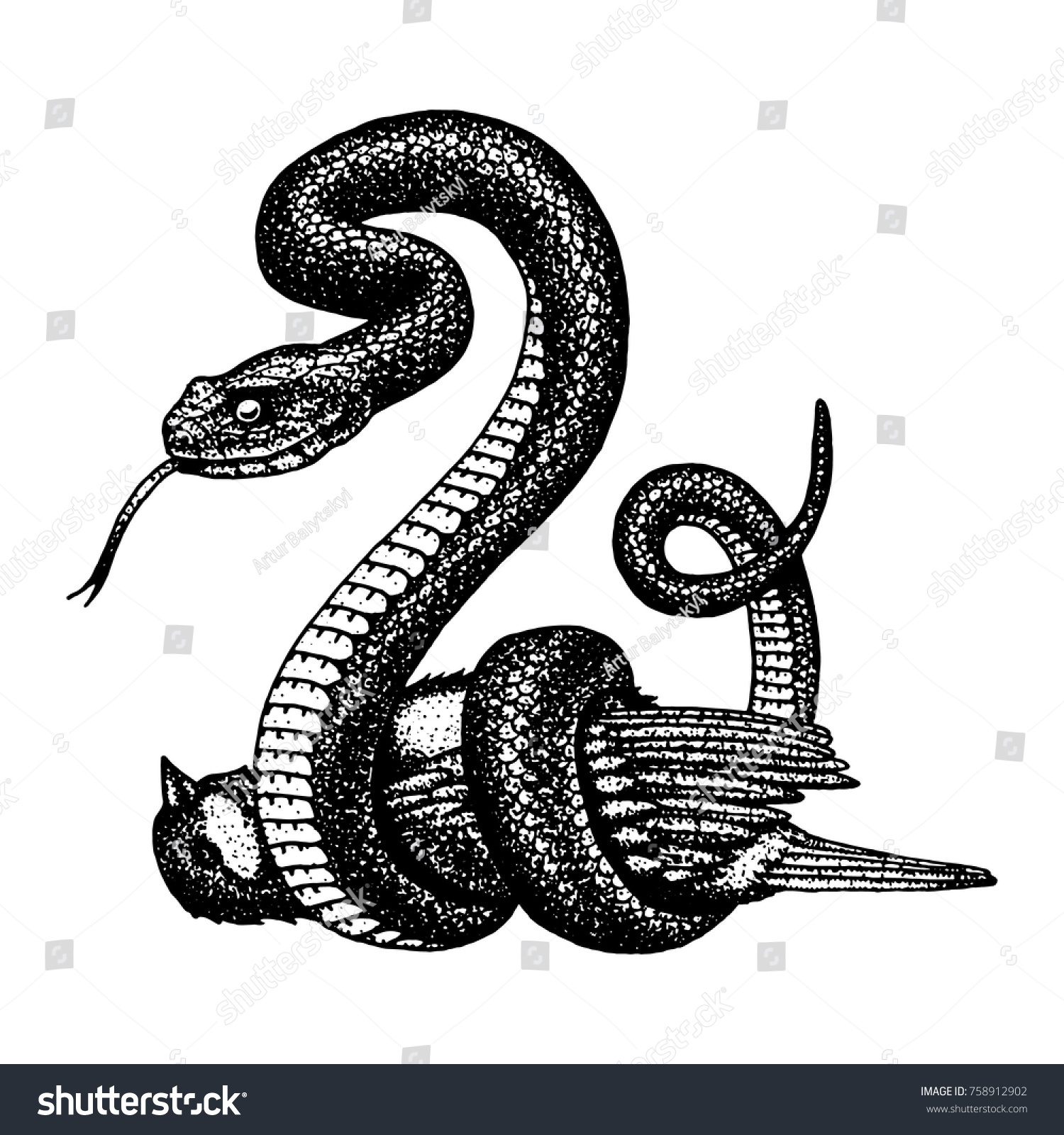 Mand En team Literaire kunsten Viper slang. slang cobra en python,: stockvector (rechtenvrij) 758912902