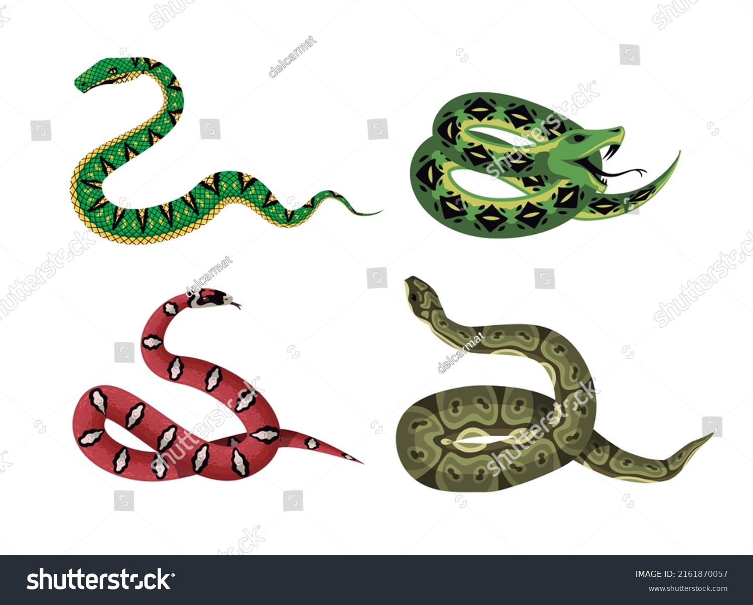 Viper Snake Serpents Animals Collection Stock Vector (Royalty Free ...