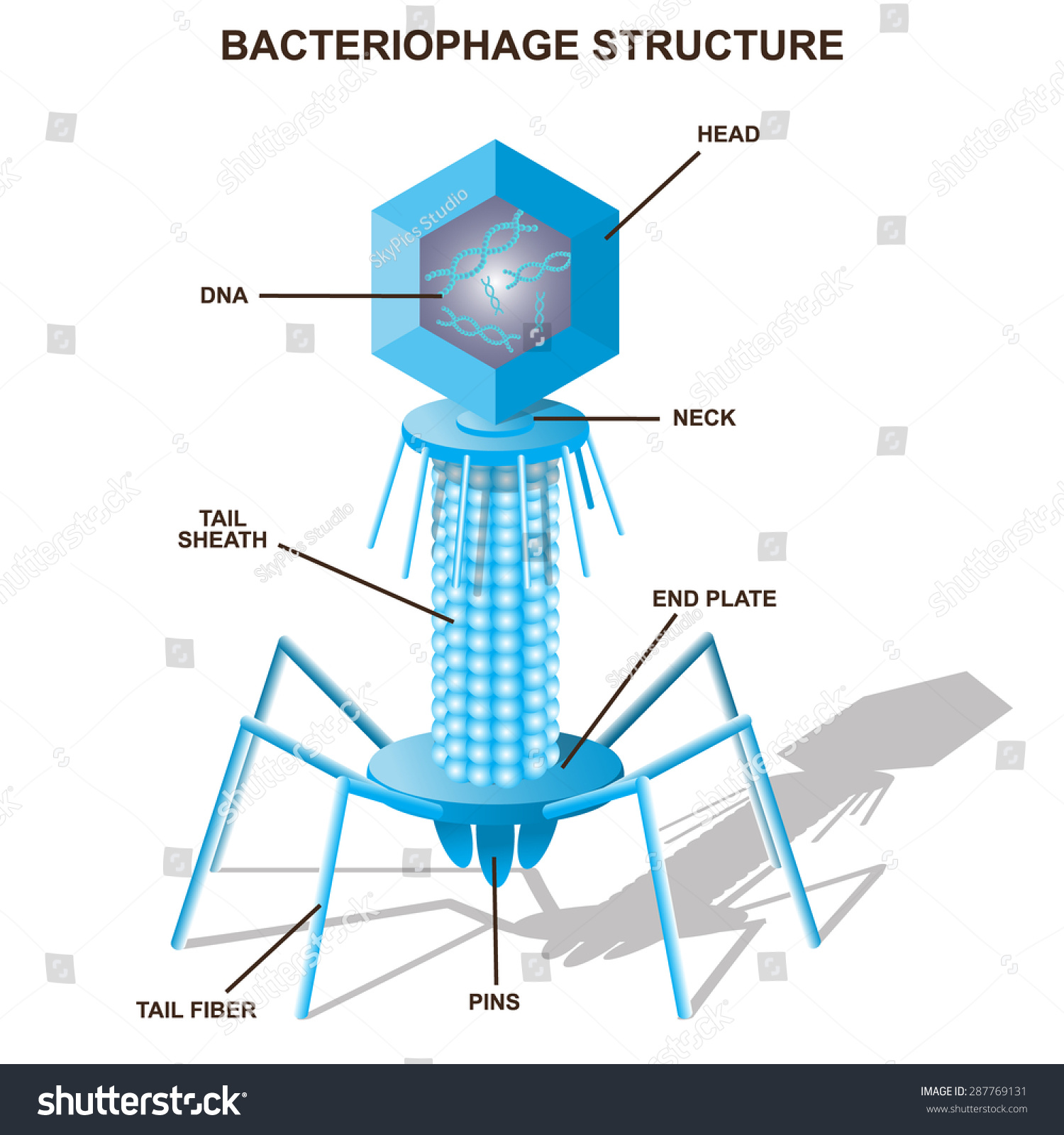 Virus Bacteriophage Model Isolated Vector Illustration Stock Vector ...