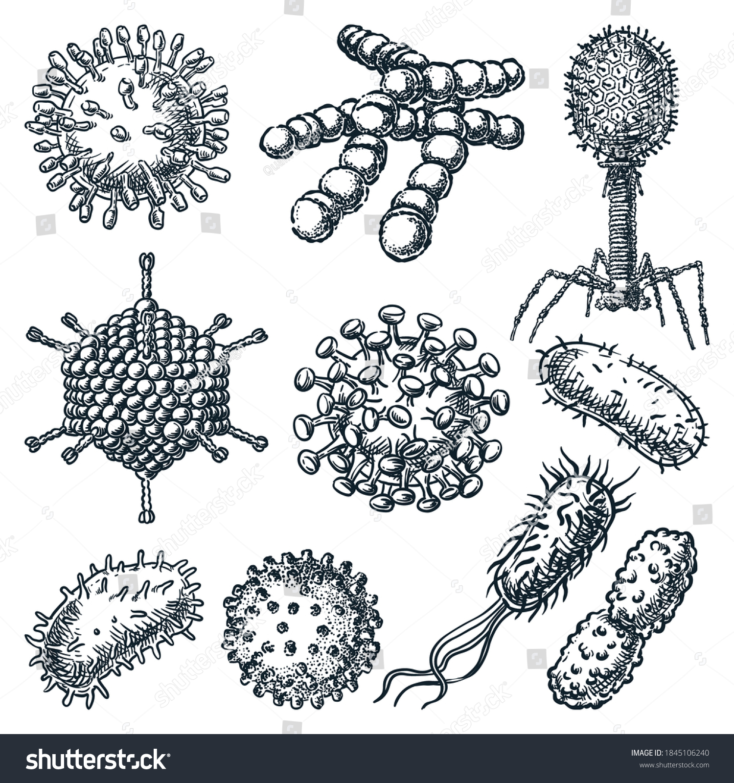 1 Rabivirus Images, Stock Photos & Vectors | Shutterstock